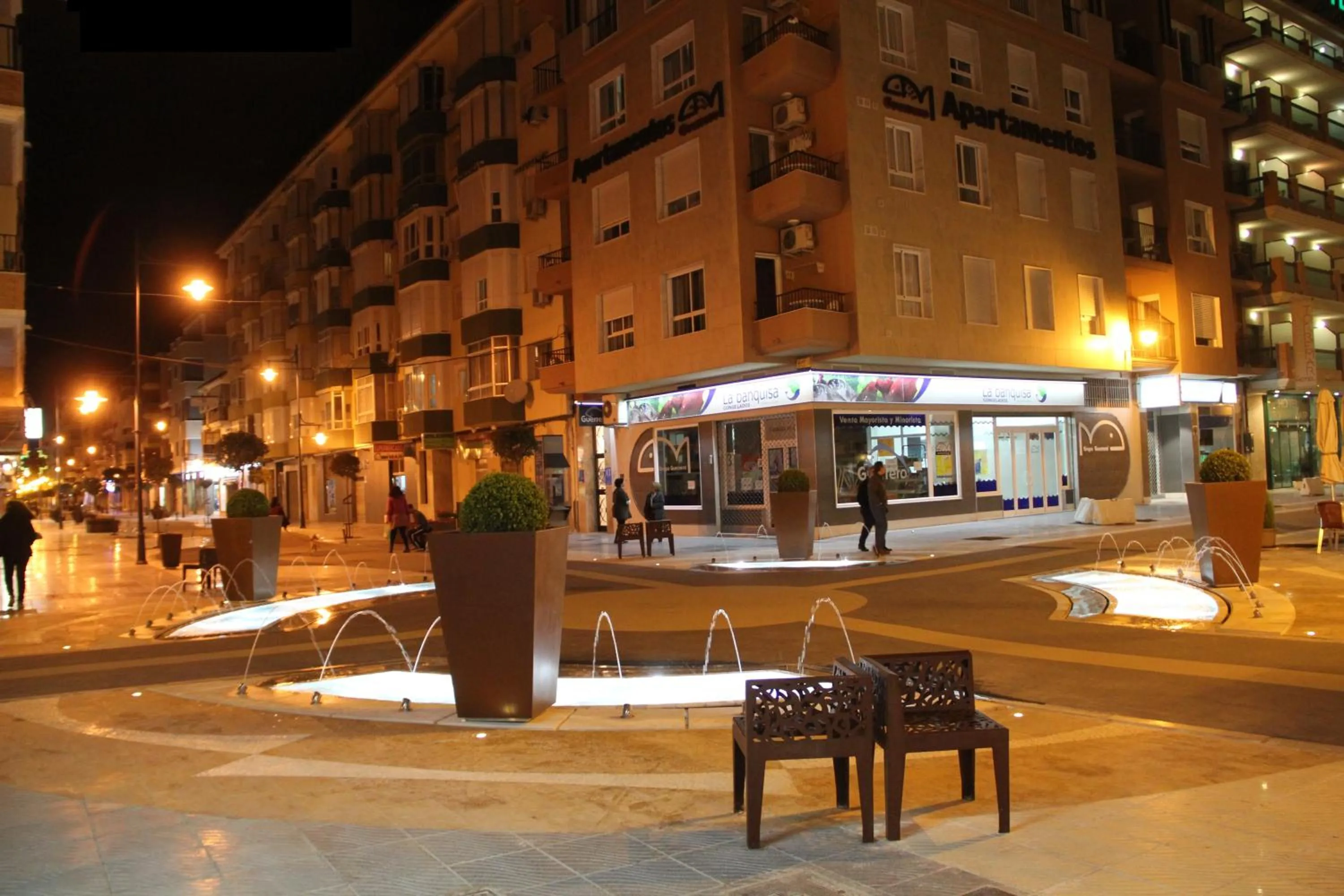 Area and facilities in Apartamentos Guerrero