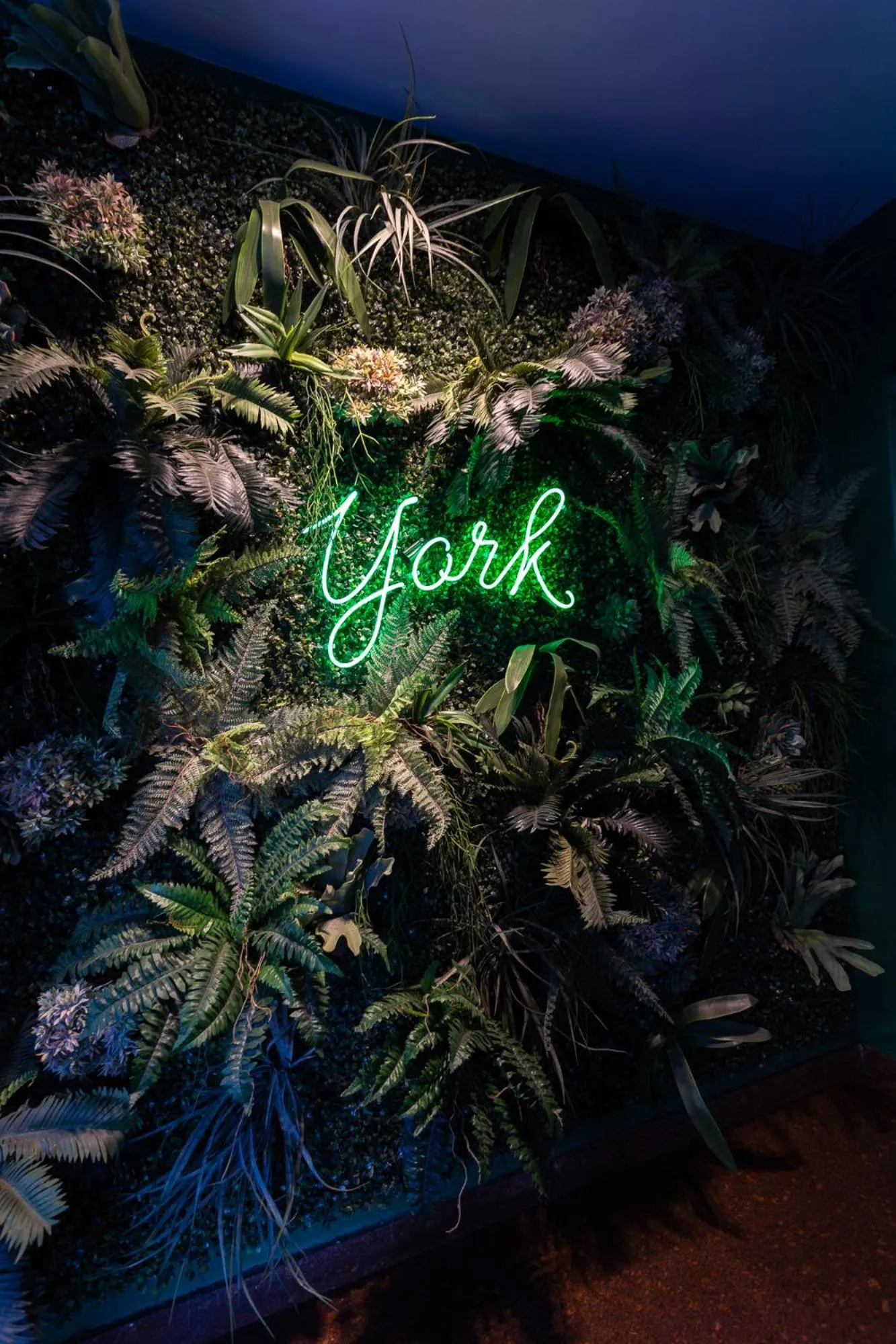 Lobby or reception in Hotel York