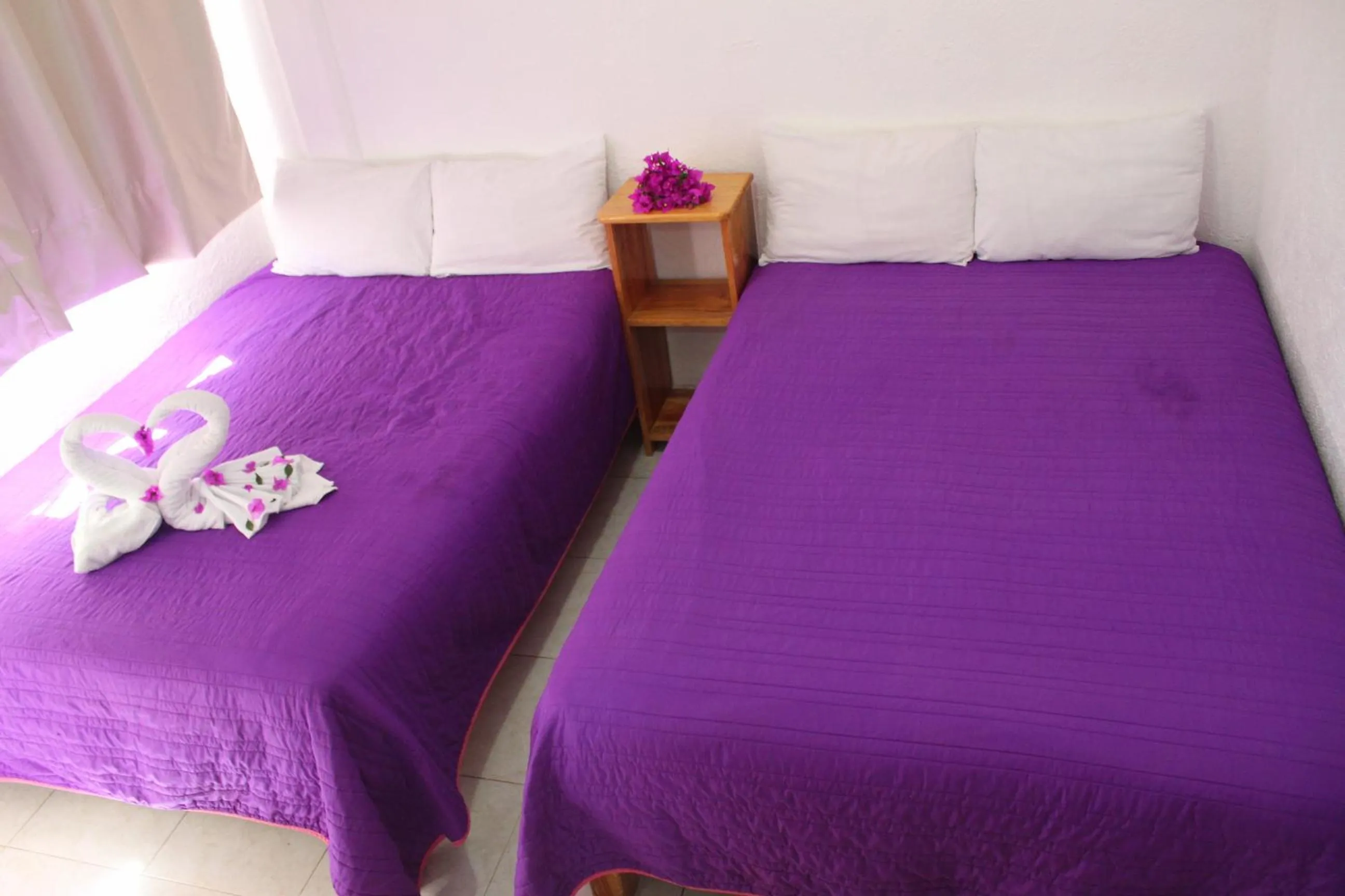 Photo of the whole room in Hotel Victoria