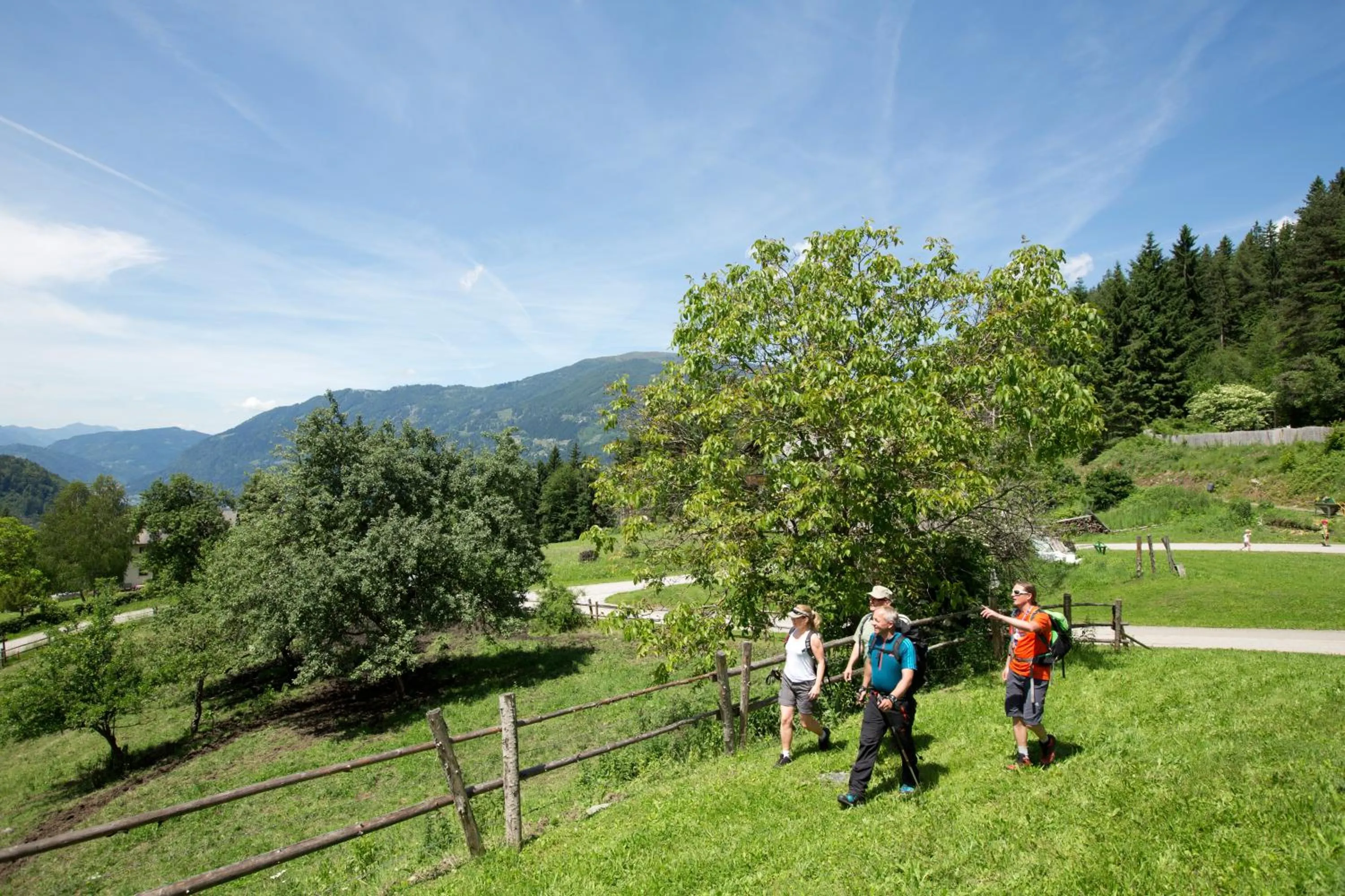 Hiking in ROBINSON Landskron