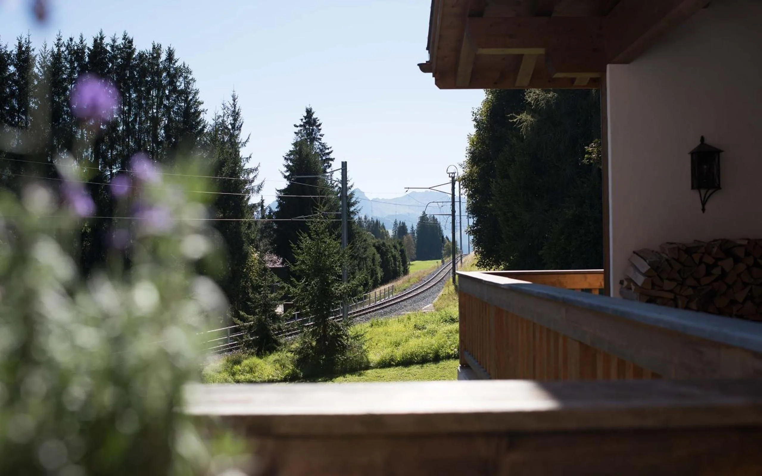 View (from property/room) in Hotel des Alpes Superieur