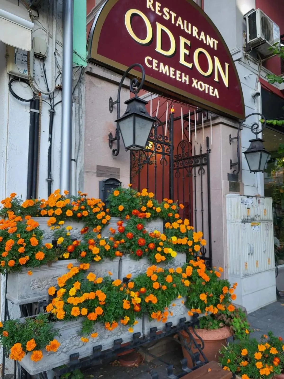 Restaurant/places to eat in Hotel Odeon