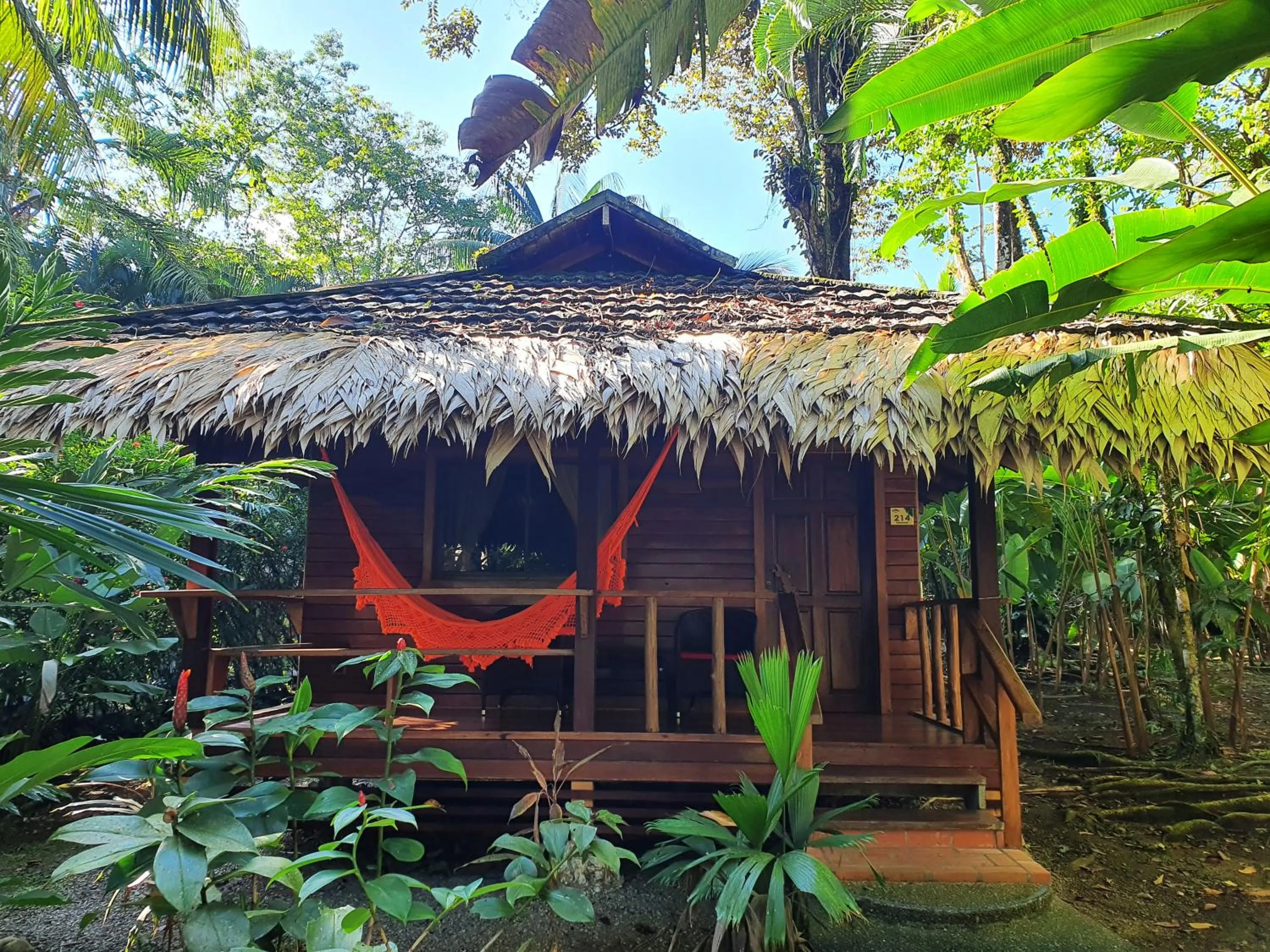Balcony/Terrace in Cariblue Beach and Jungle Resort