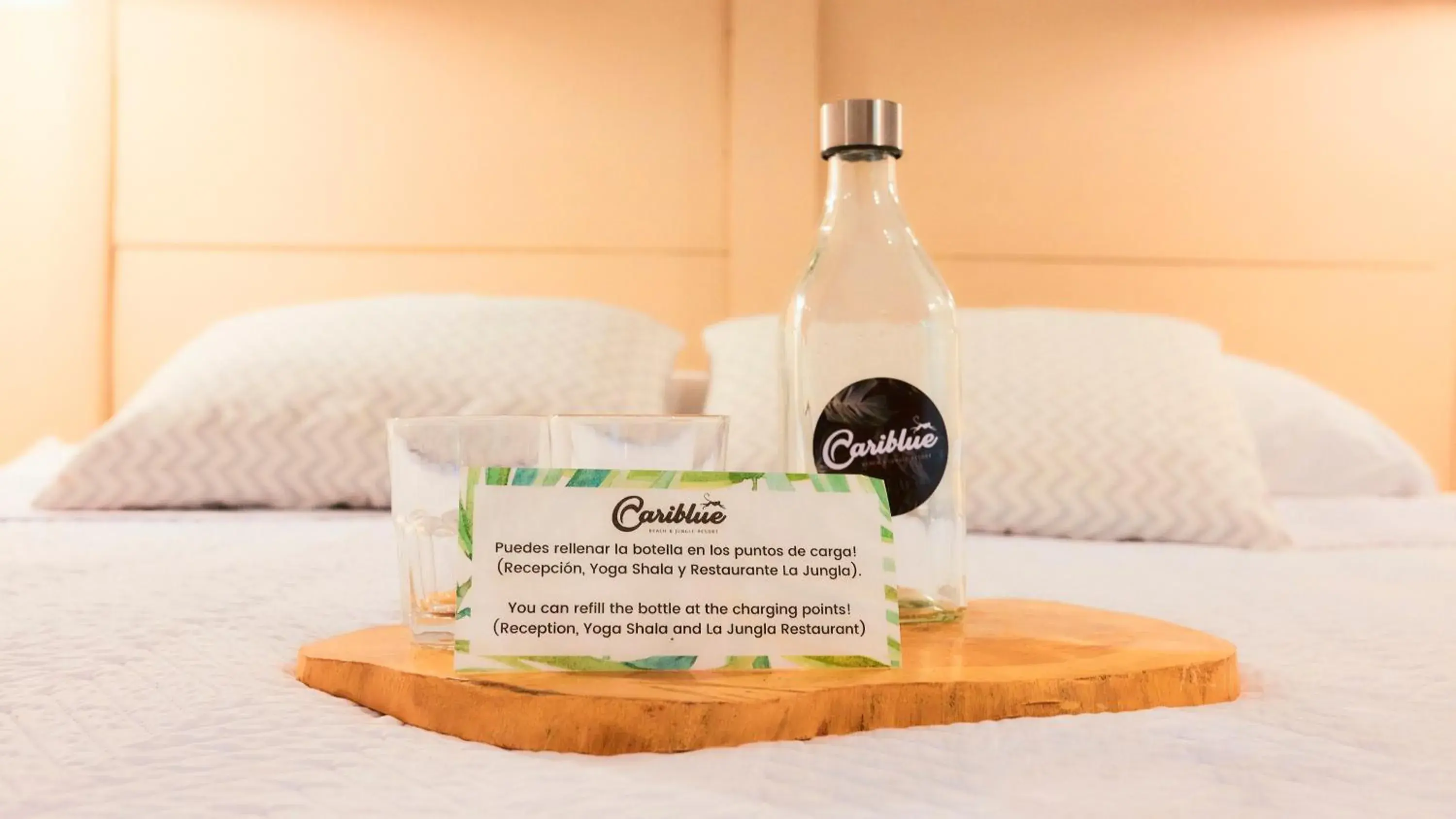 Standard Room in Cariblue Beach and Jungle Resort Standard Room in Cariblue Beach and Jungle Resort