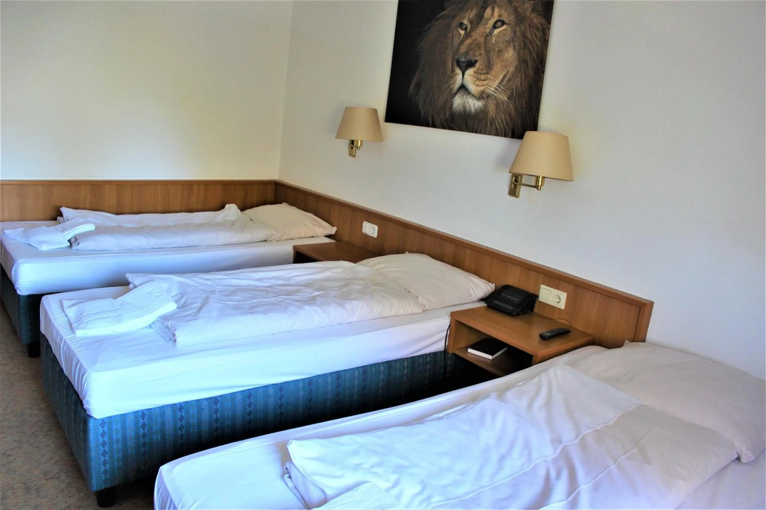 Bed in Hotel Alsterquelle 24h Check-in, Free Parking and WiFi