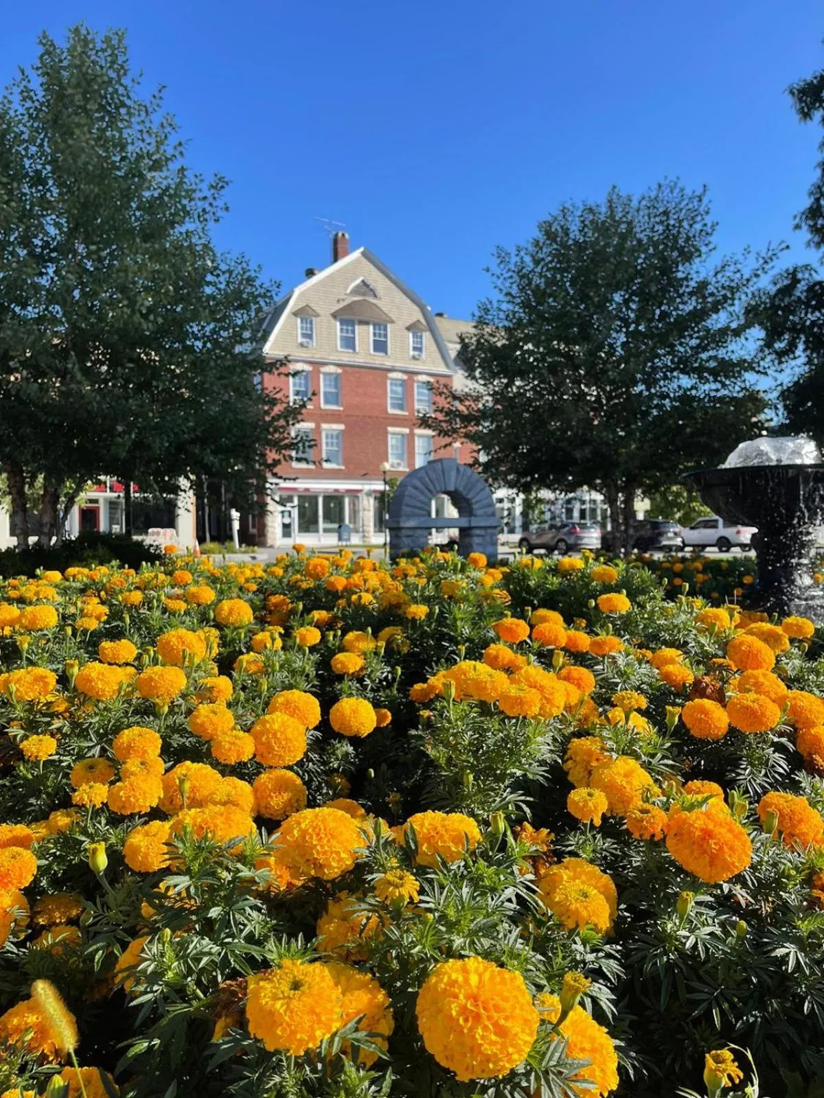 Property building in The Brandon Inn