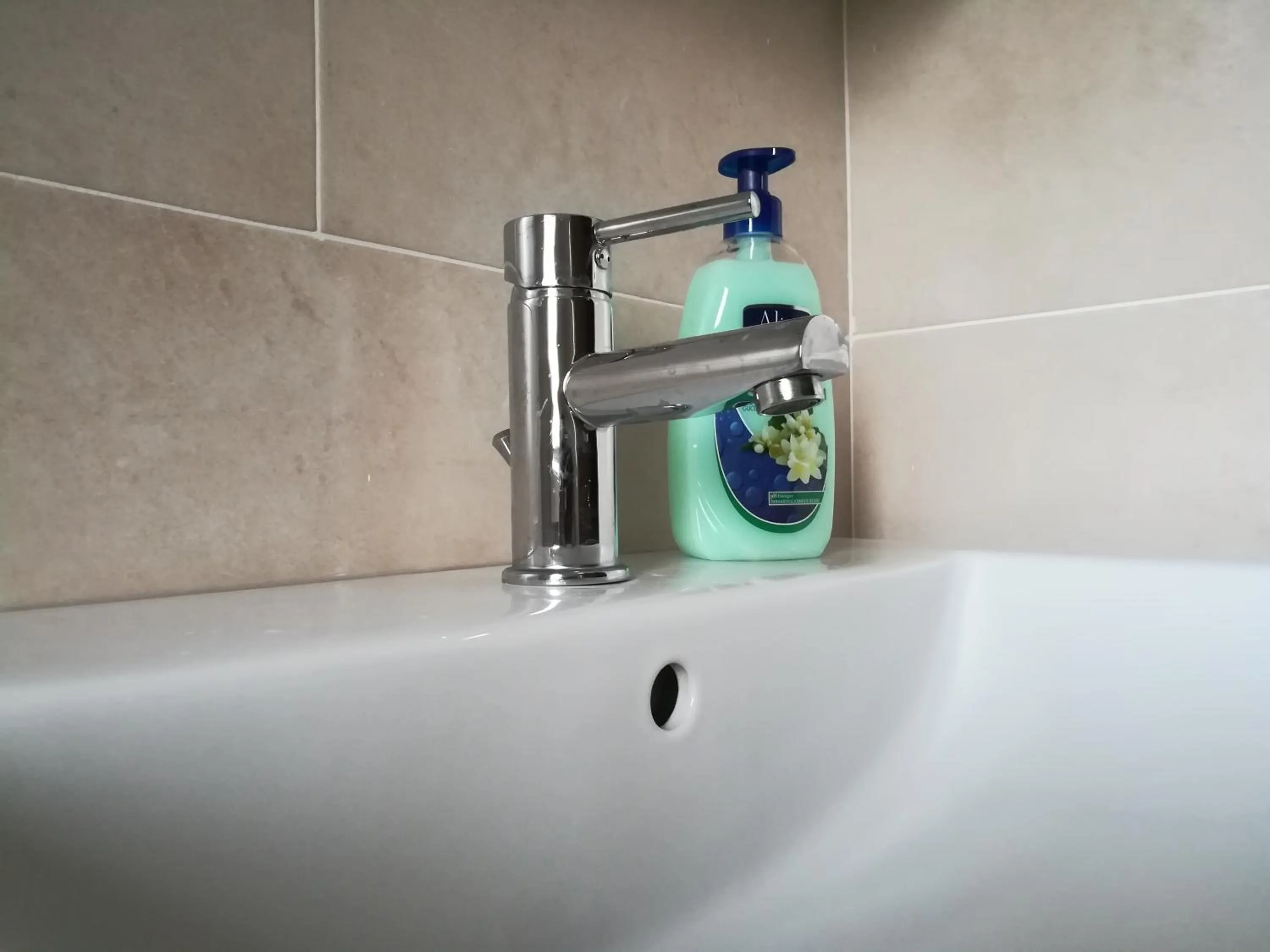 Venice Vacation House