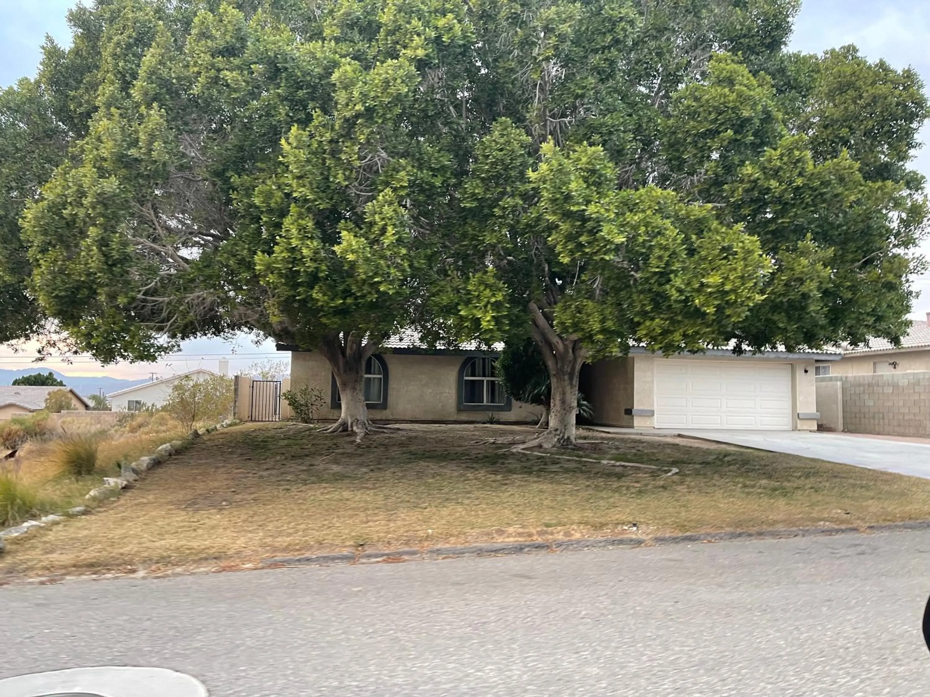 Miracle Springs Resort and Spa