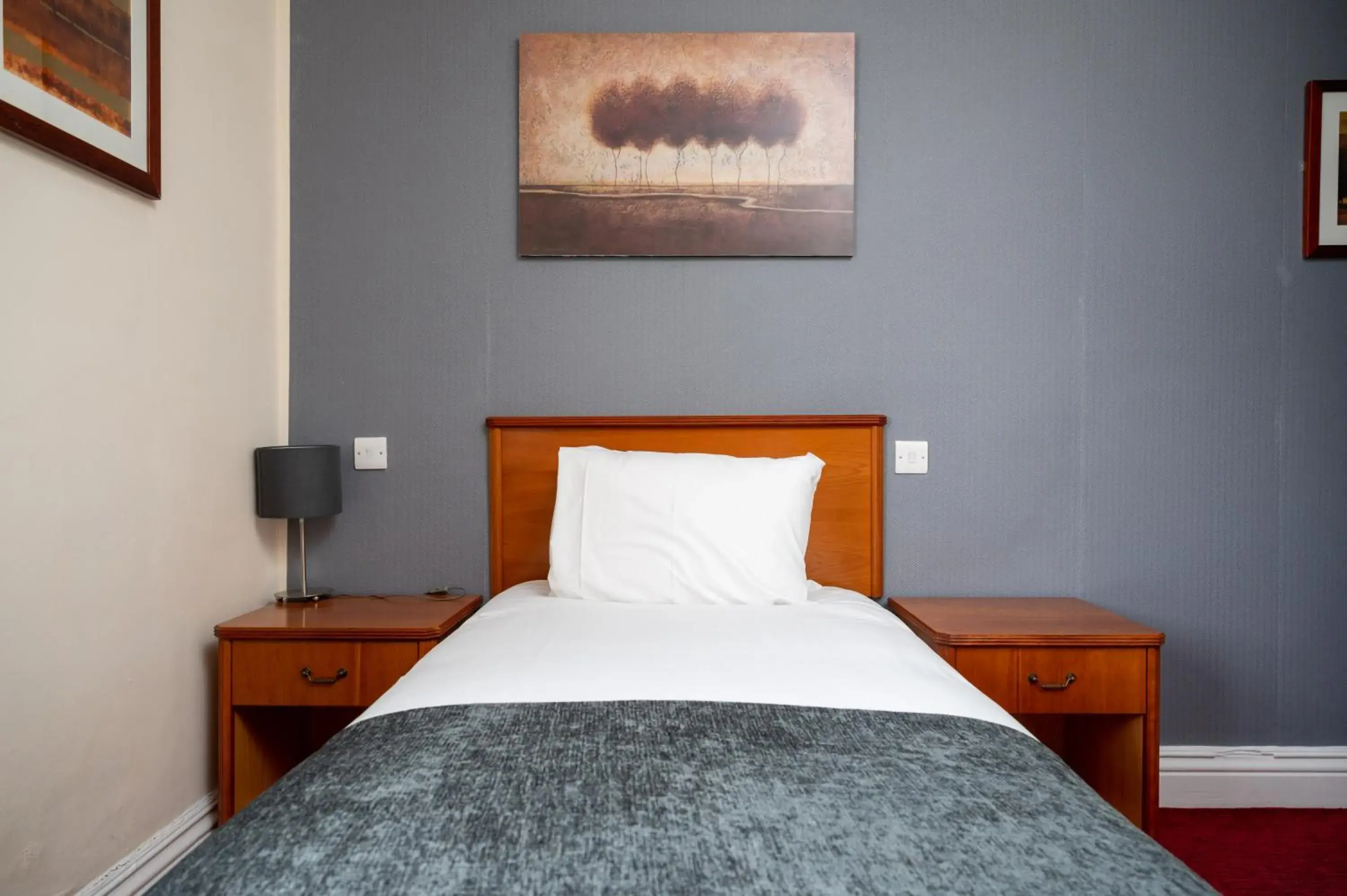 Single Room in Bridge Inn by Greene King Inns Single Room in Bridge Inn by Greene King Inns