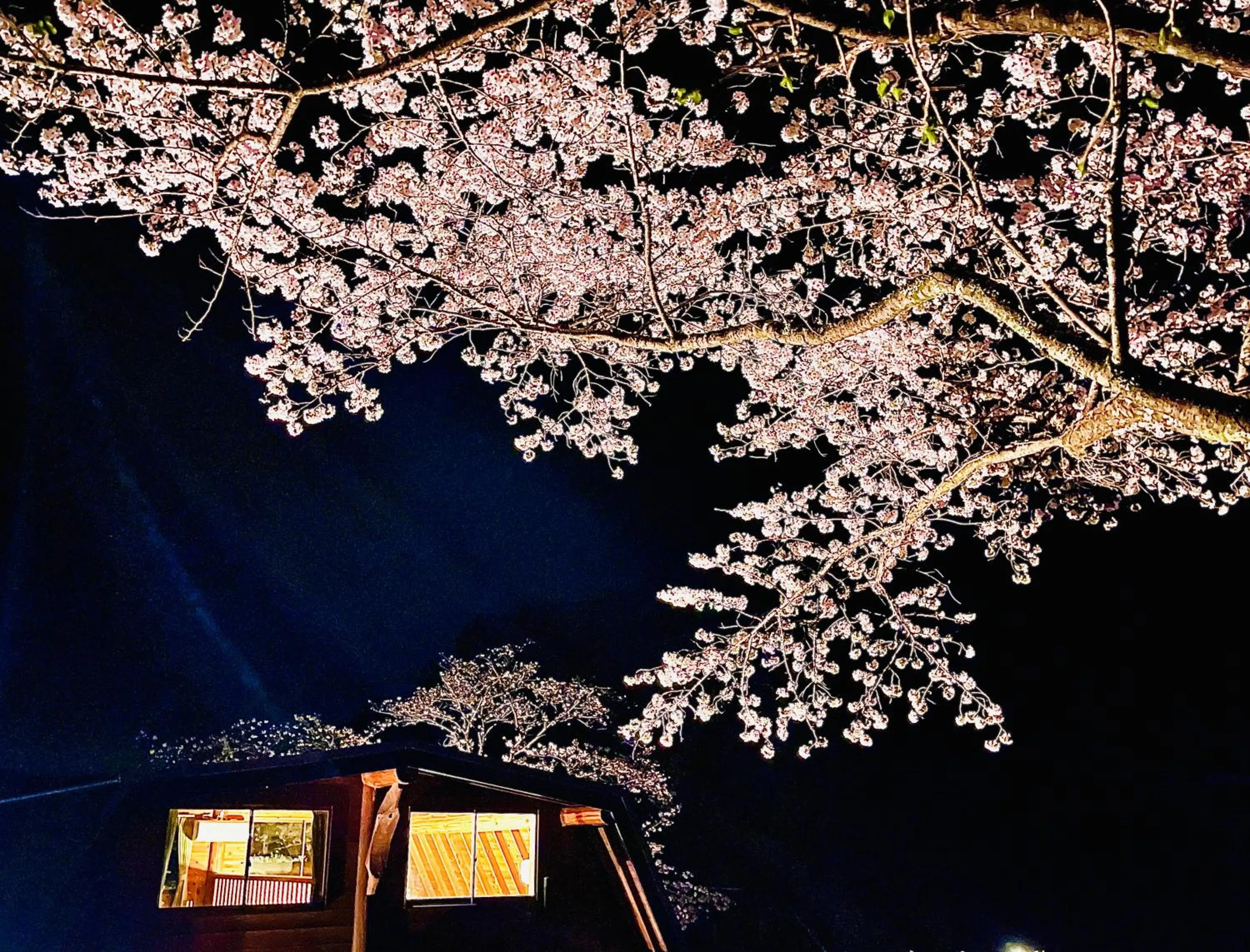 Spring in Pension Shishikui