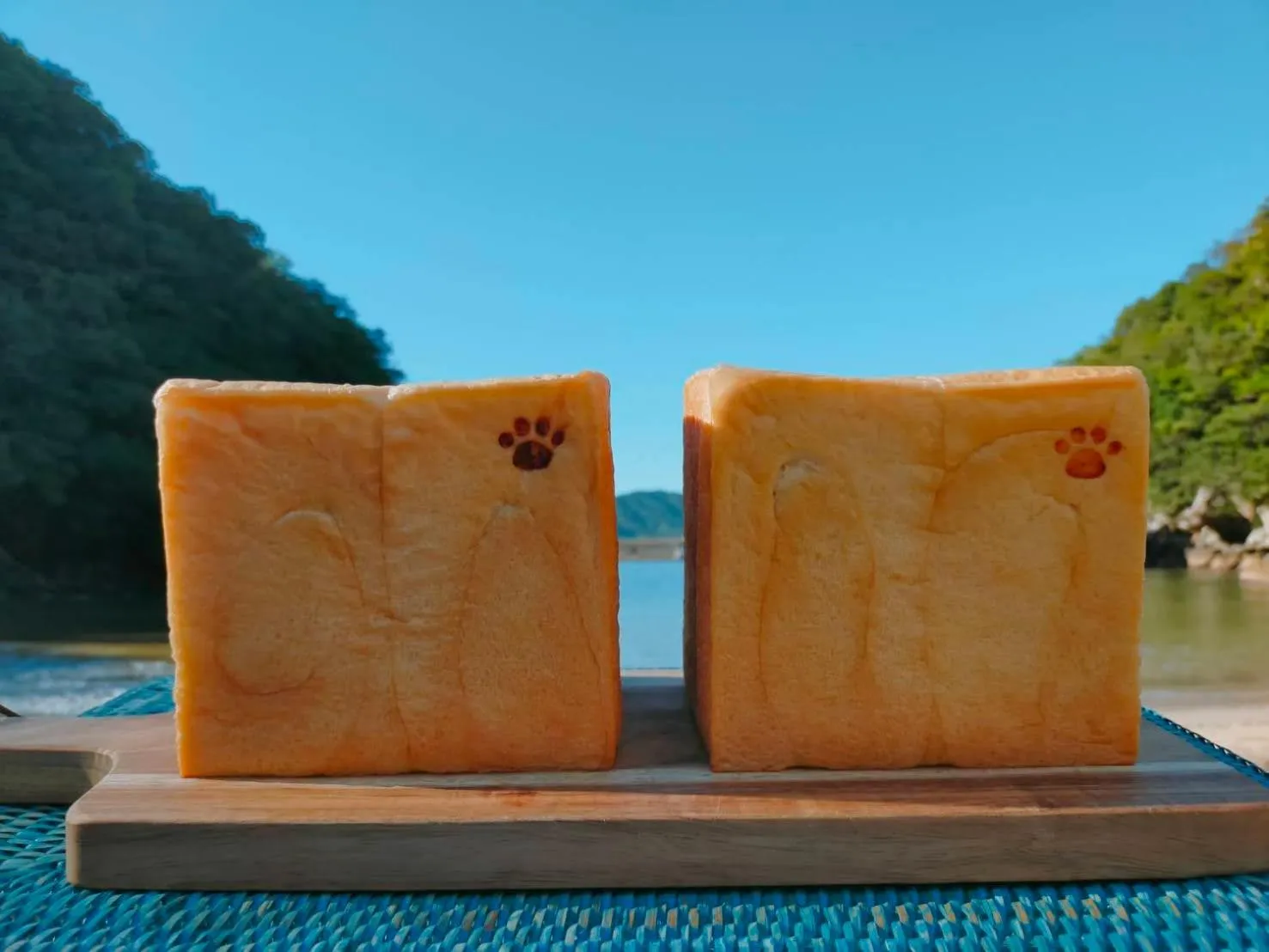 Area and facilities in Pension Shishikui