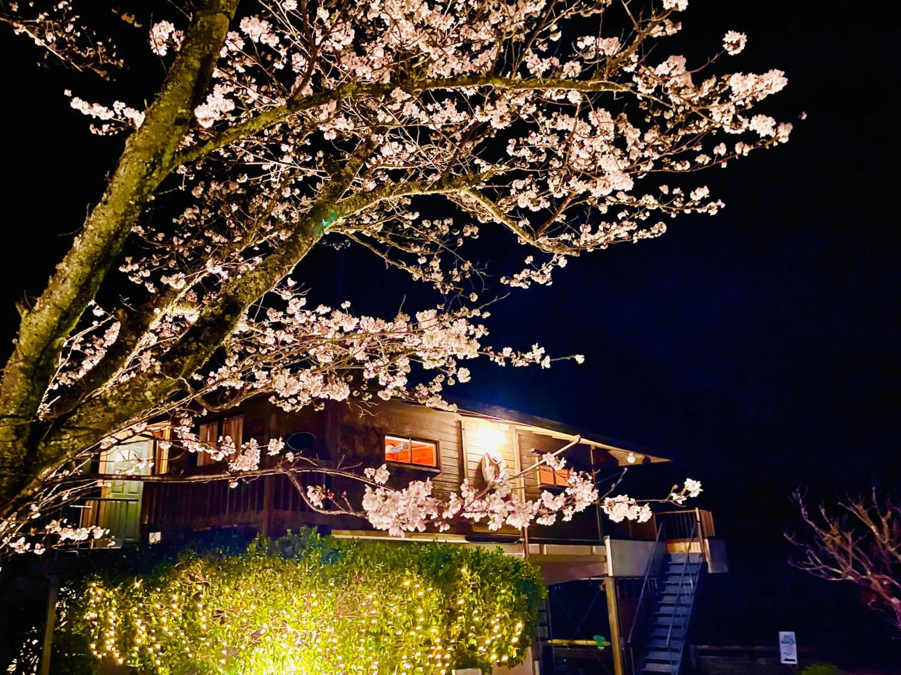 Night in Pension Shishikui