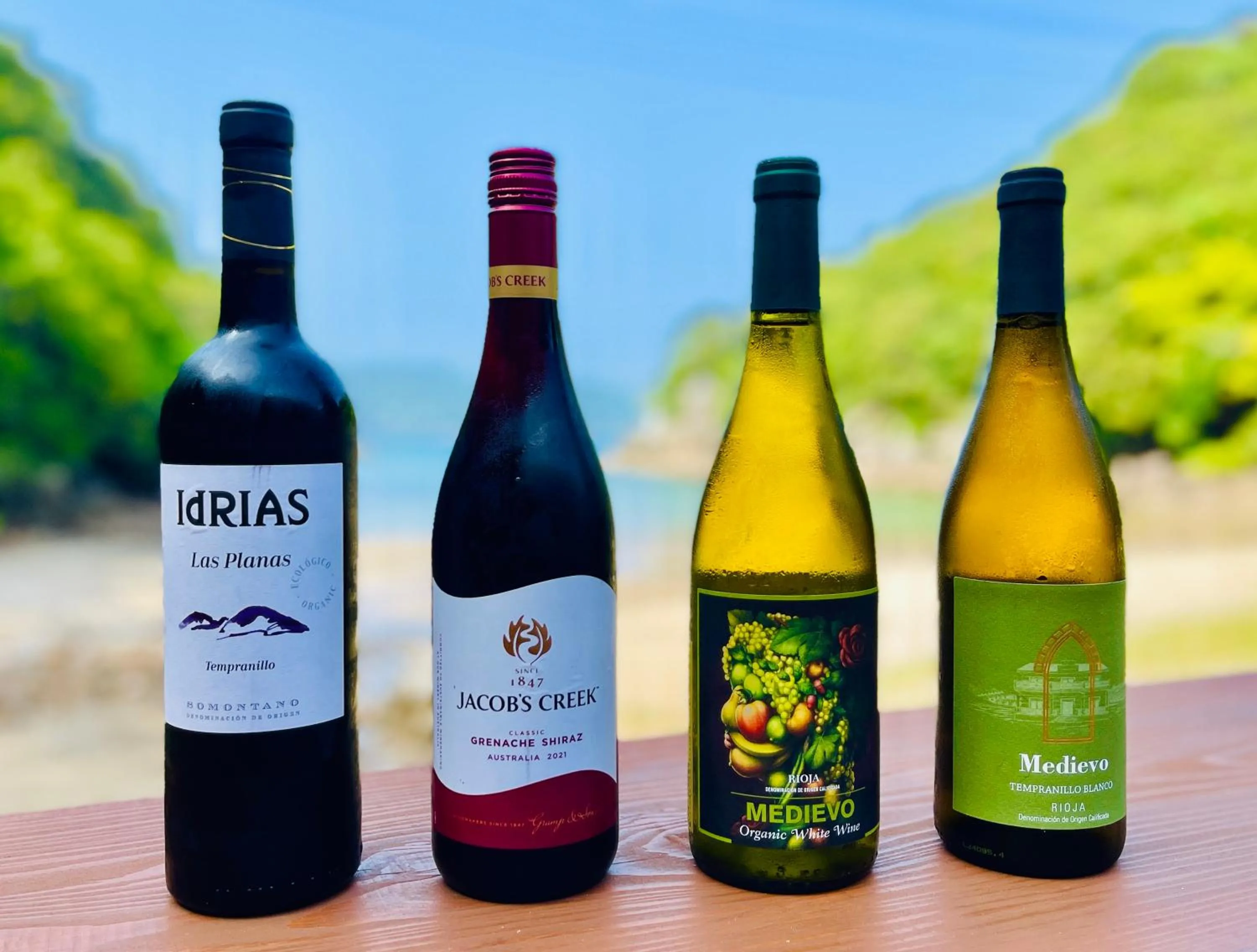 Alcoholic drinks in Pension Shishikui