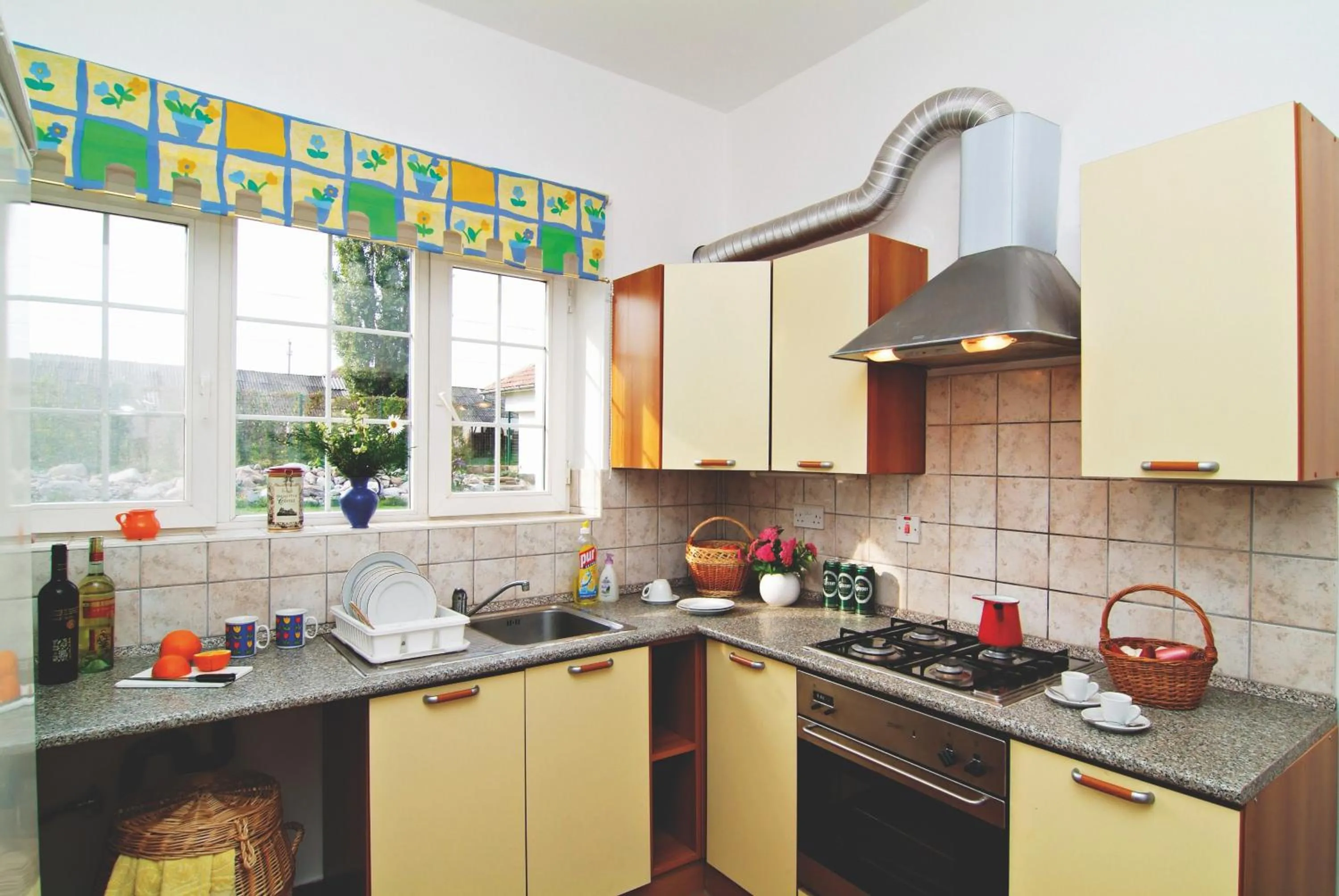 Kitchen or kitchenette in Country Club La Mesteceni