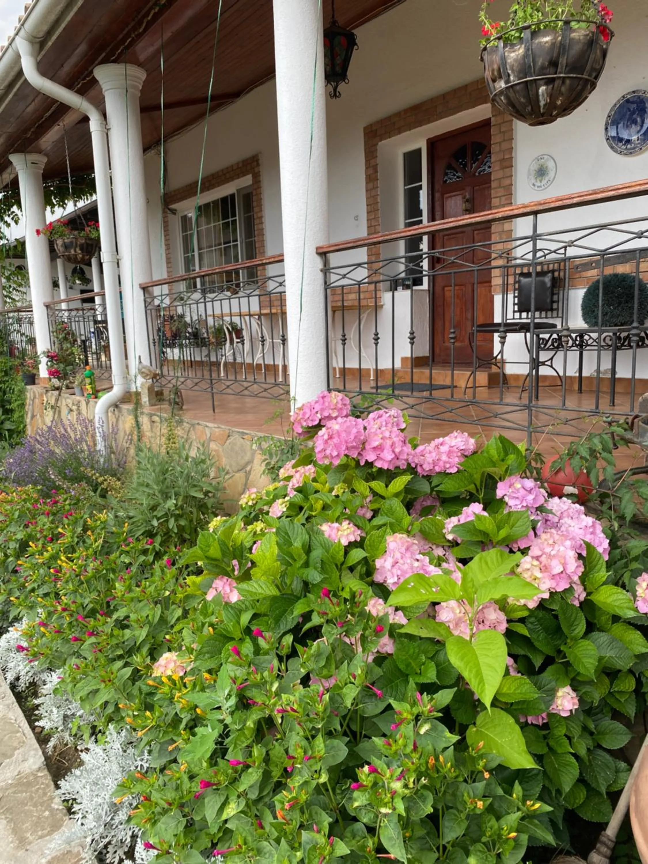 Property building in Country Club La Mesteceni