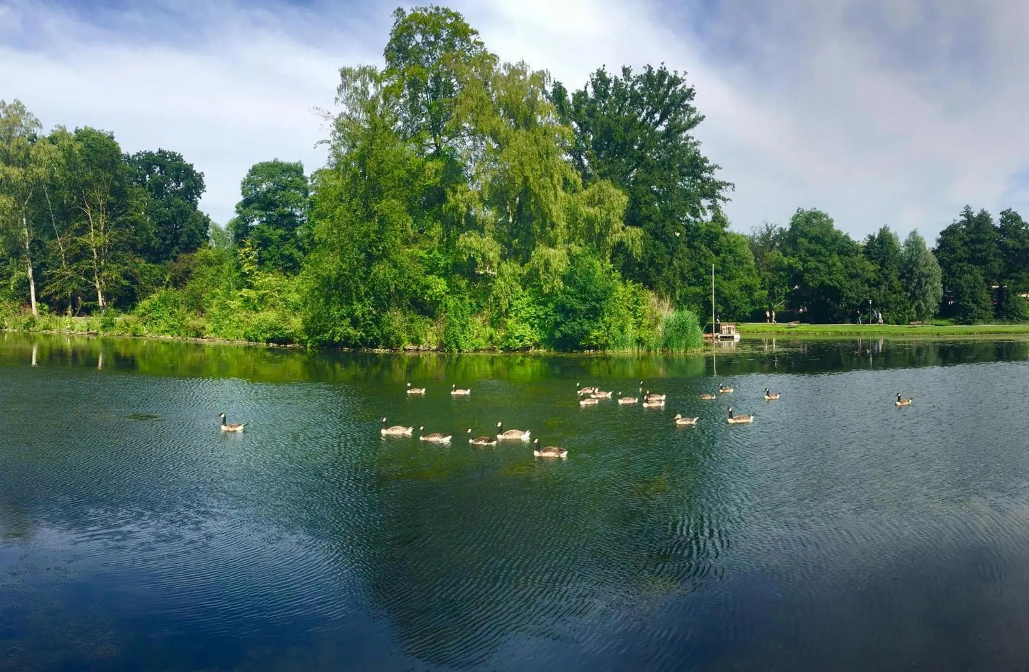 Lake view in Hotel Royal