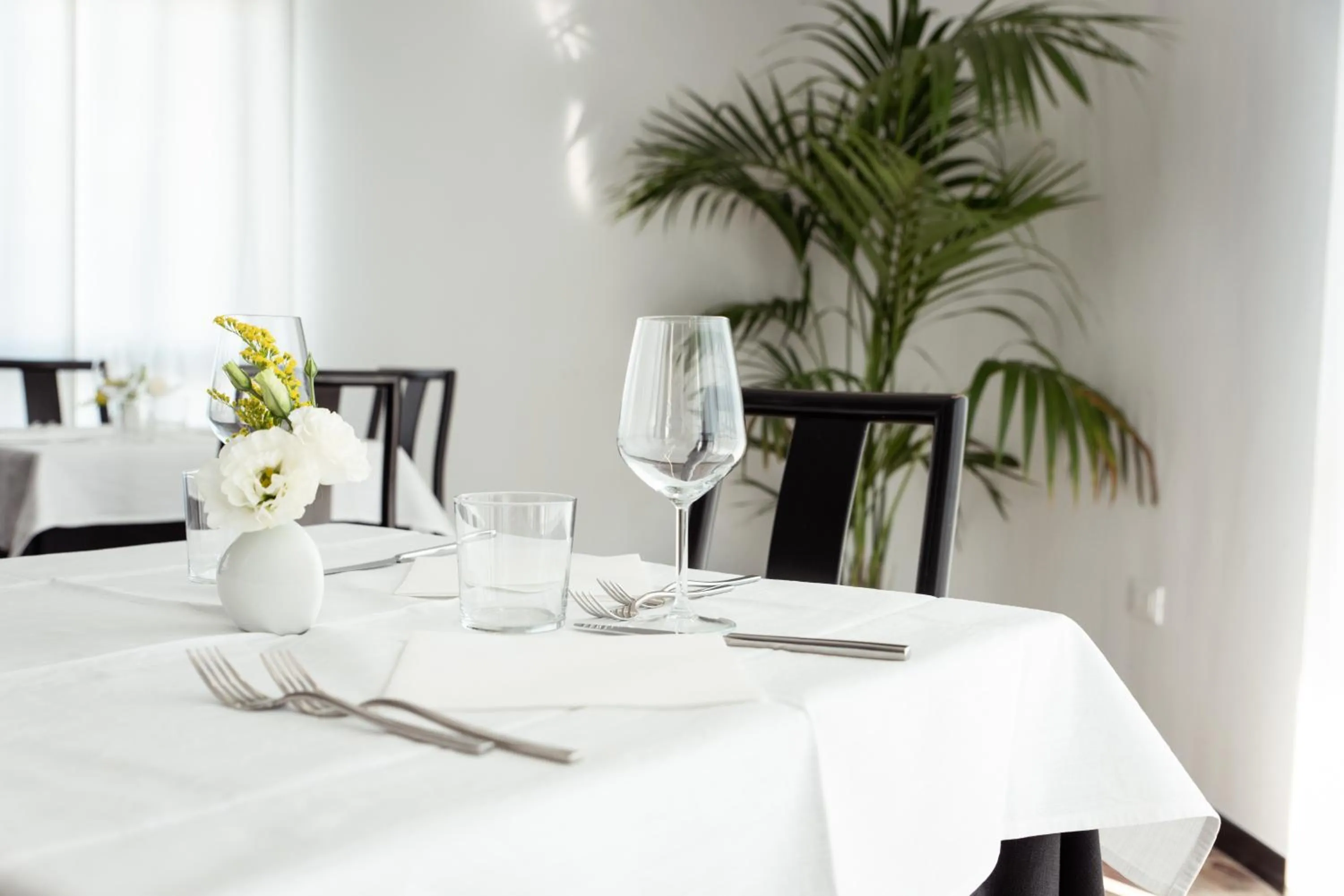 Restaurant/places to eat in Adria Beach Hotel