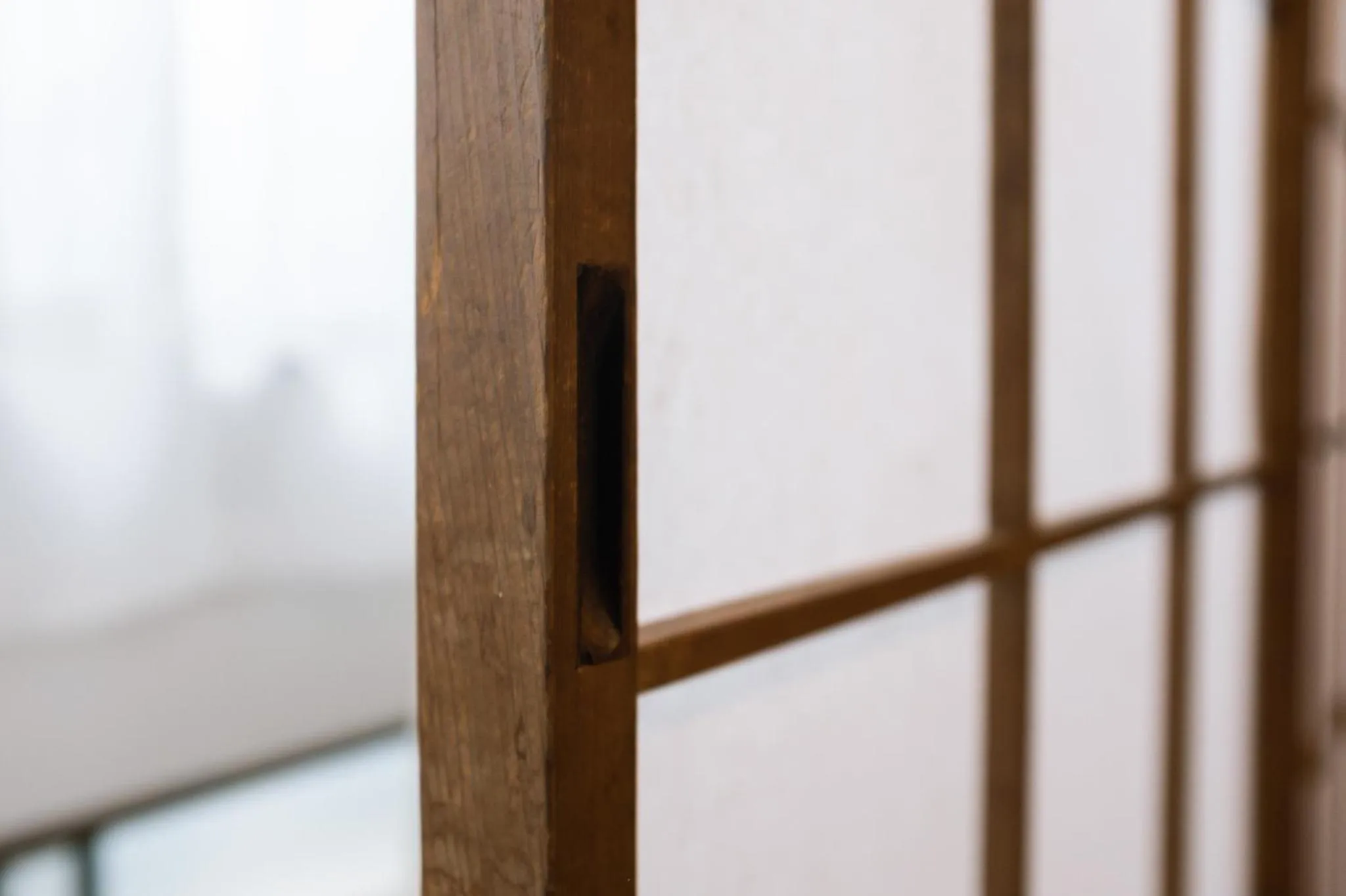 Guesthouse Sunline Beppu