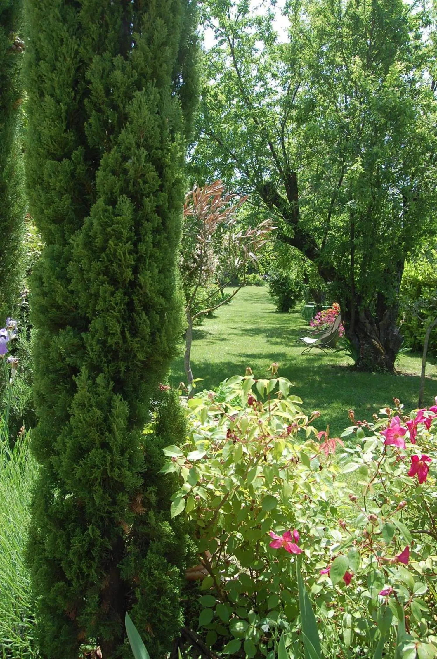 Garden view in Le Mas des Clots