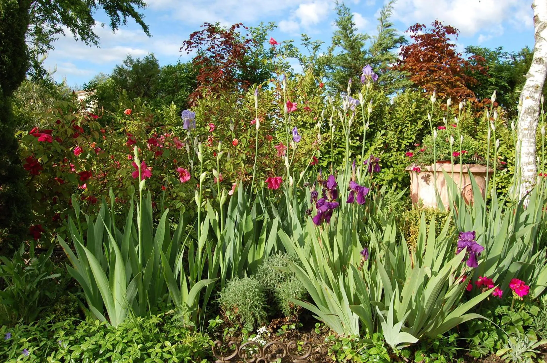 Spring in Le Mas des Clots