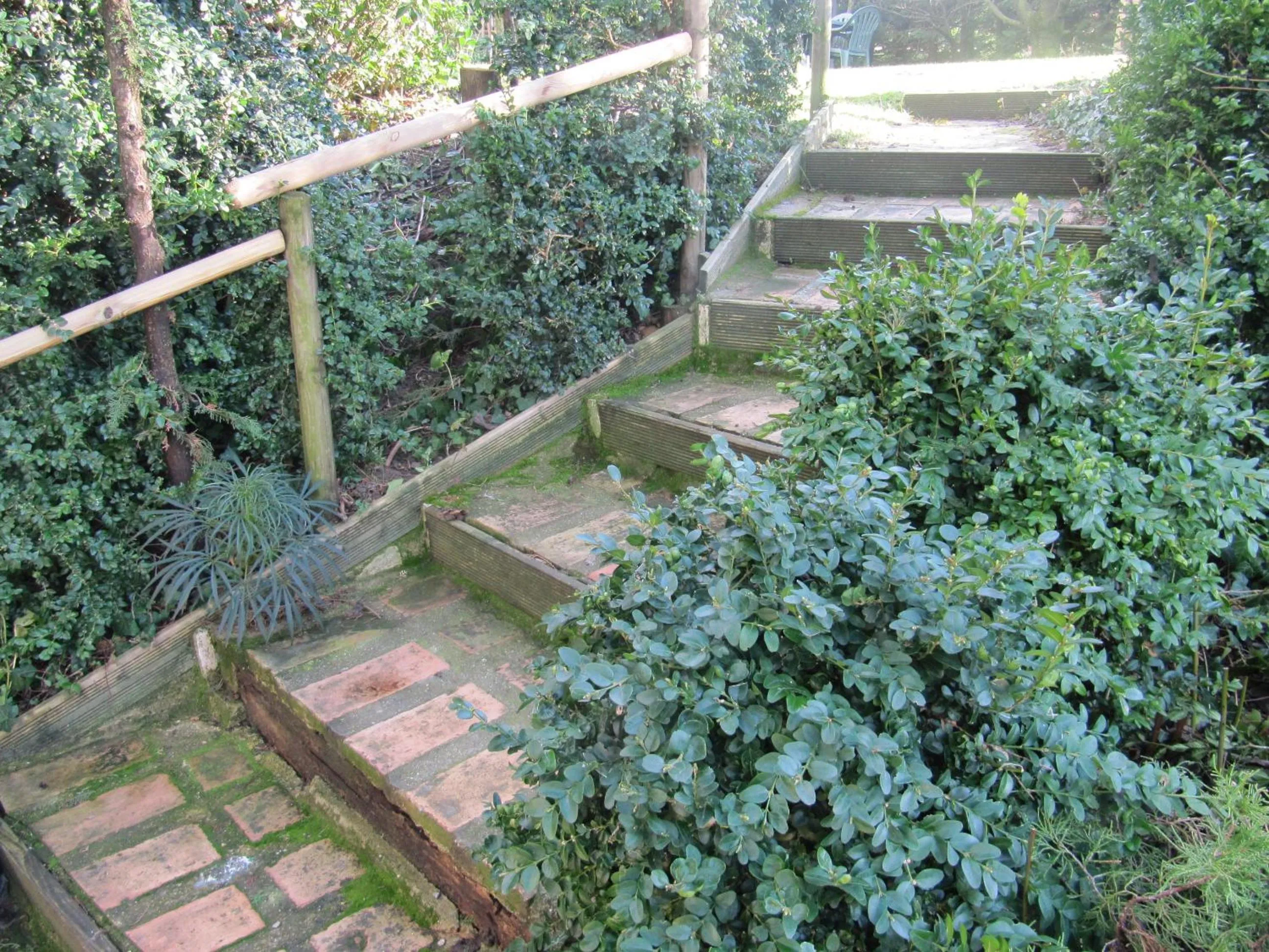 Garden in Le Mas des Clots
