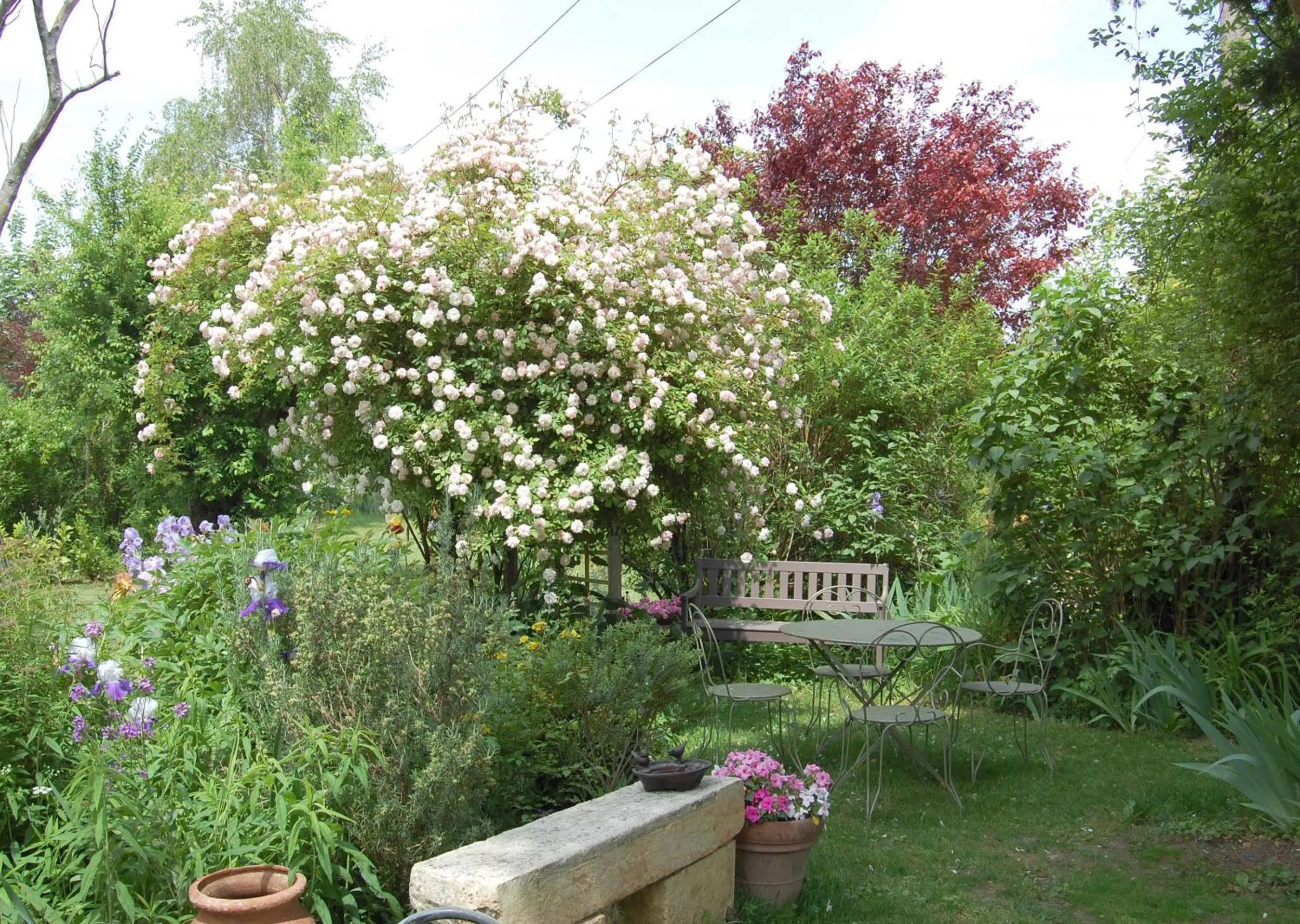 Garden in Le Mas des Clots