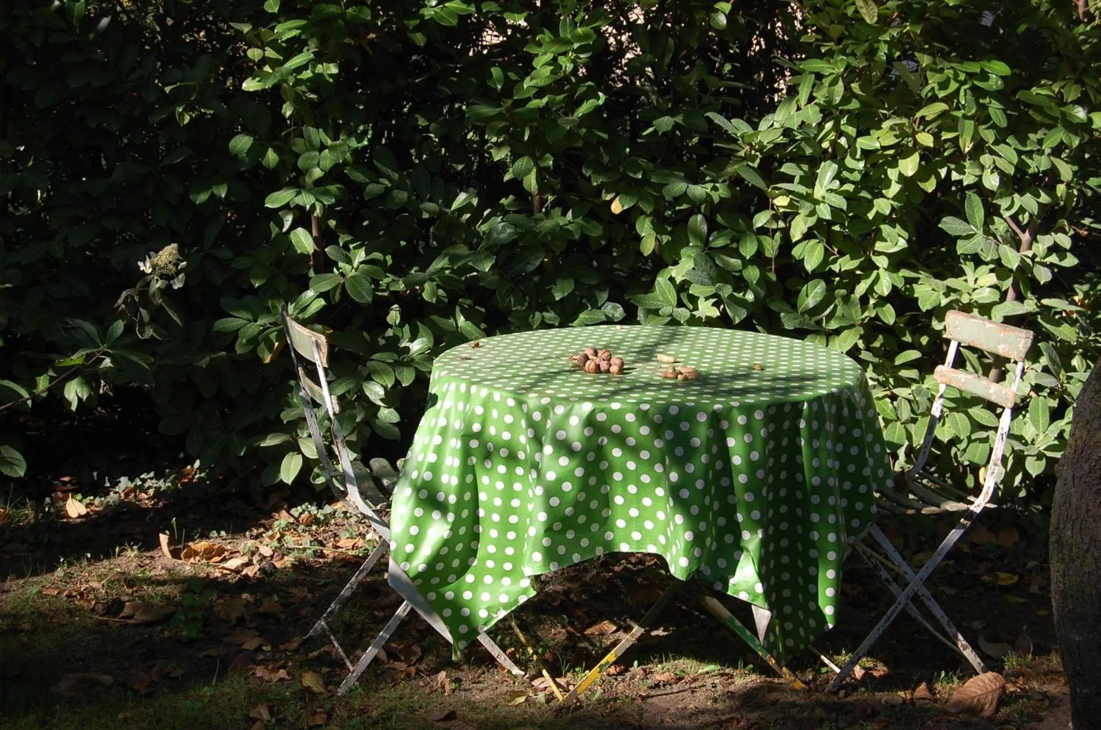 Garden in Le Mas des Clots