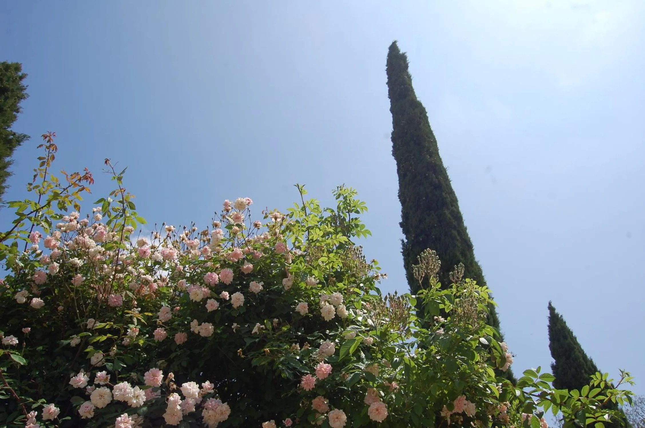 Spring in Le Mas des Clots