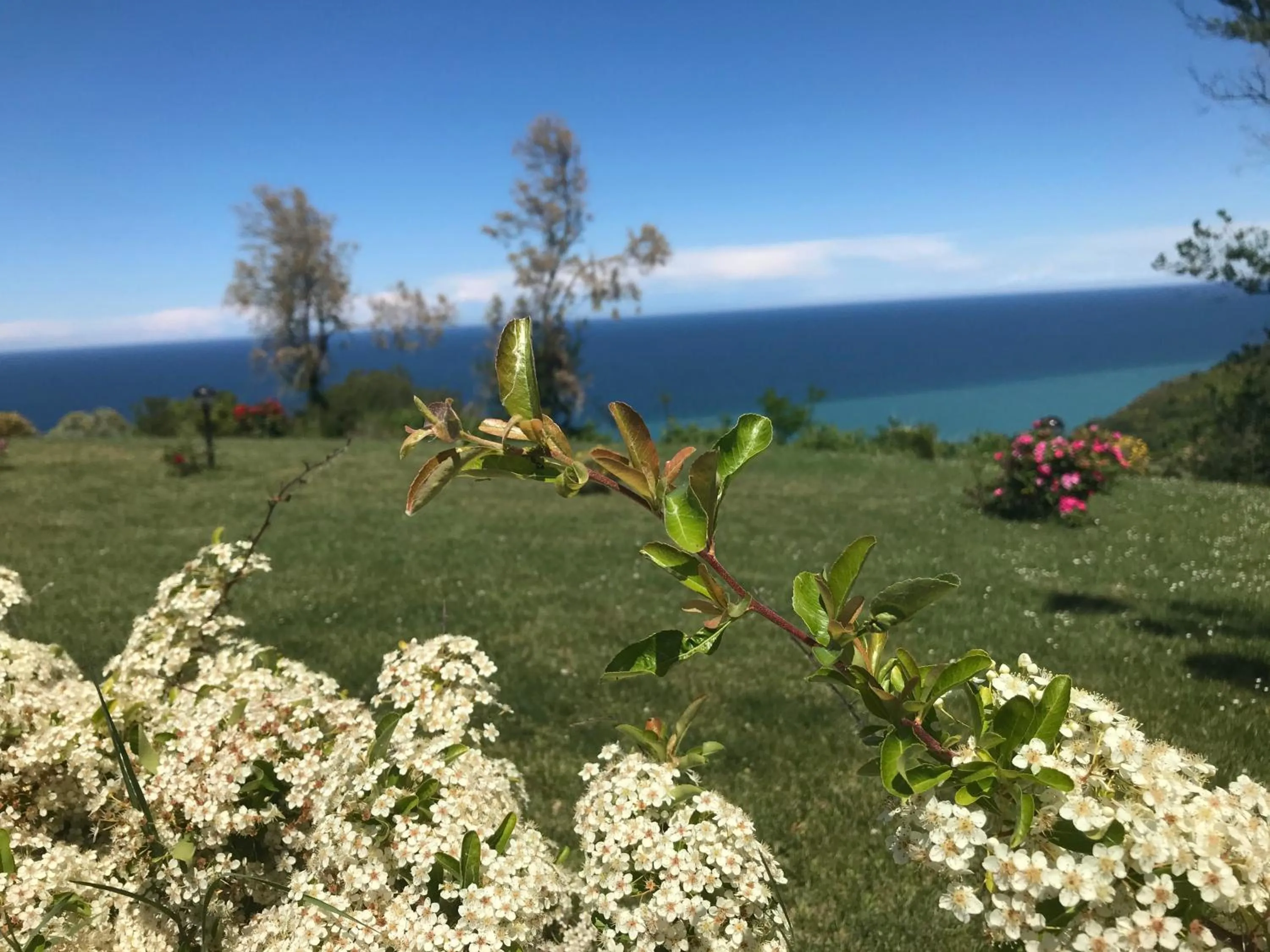 Natural landscape in Hotel Senior