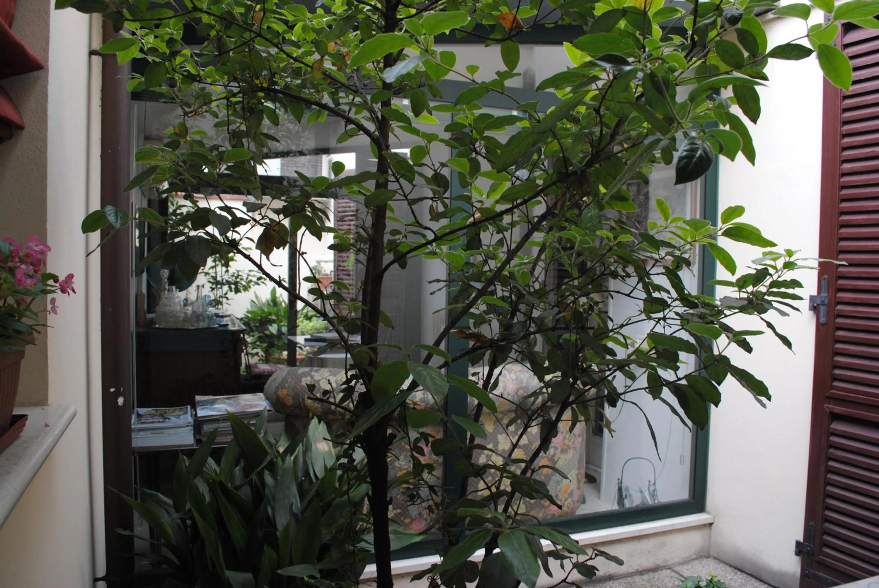 Balcony/Terrace in Il Bagattino