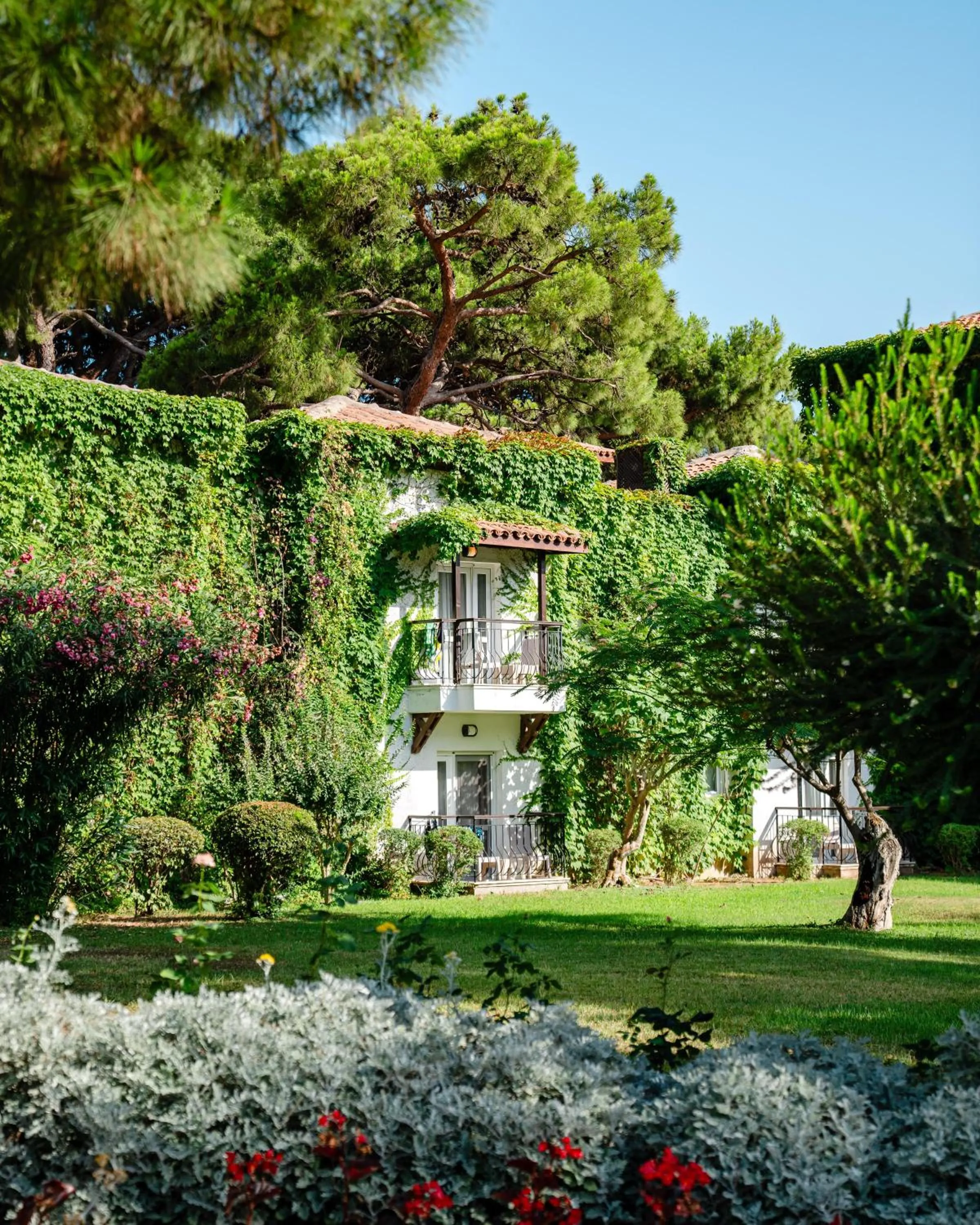 Garden in Club Marco Polo - Premium All Inclusive