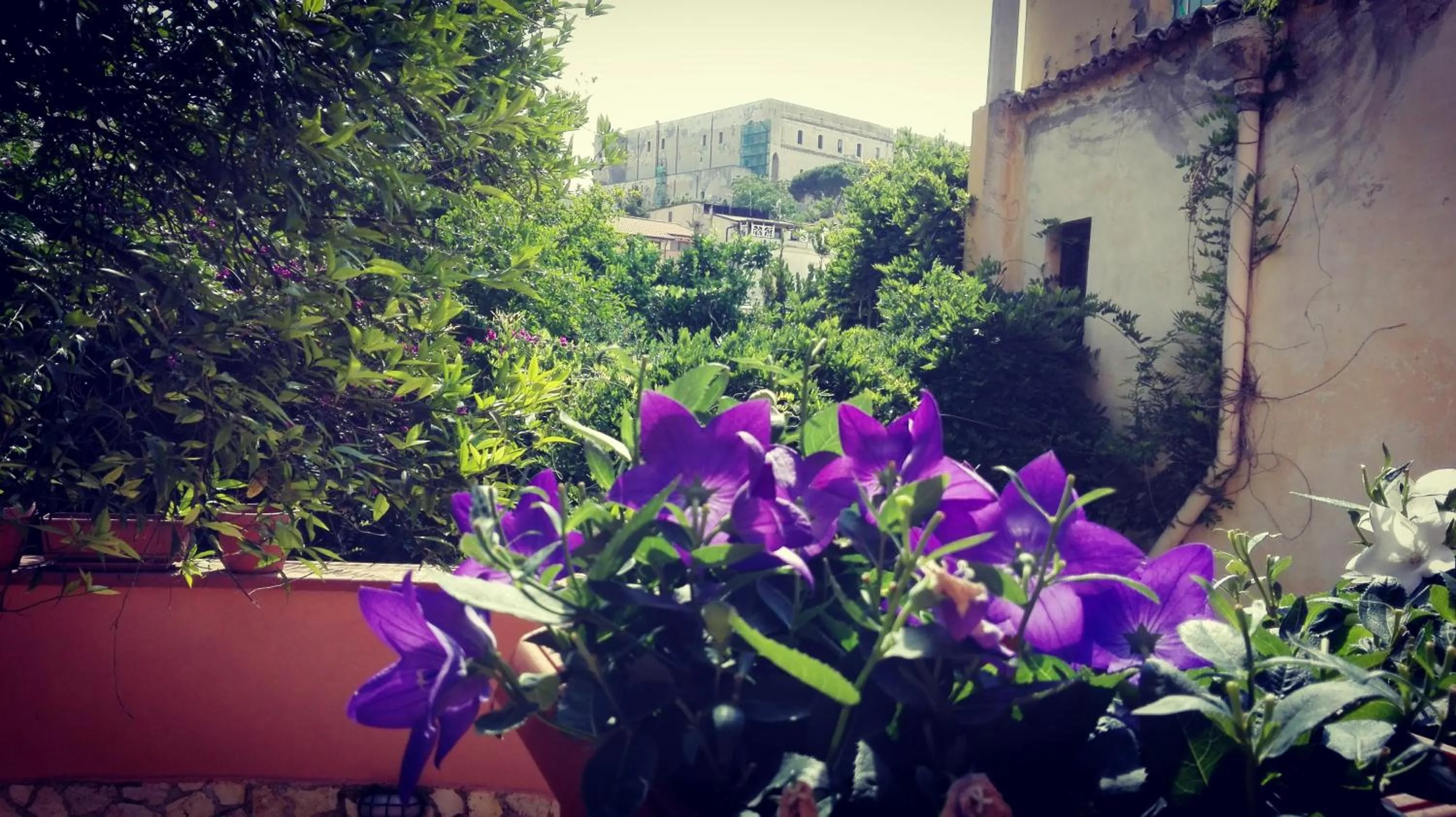 Property building in Santa Lucia B&B