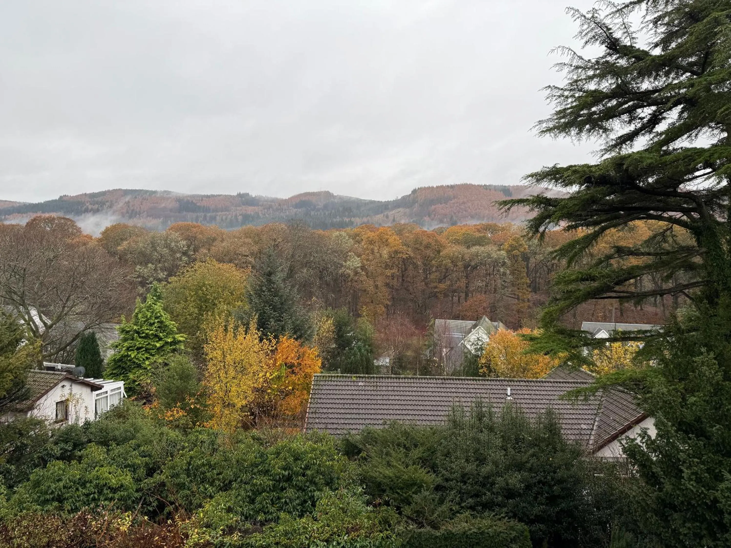 View (from property/room) in Craigatin House & Courtyard