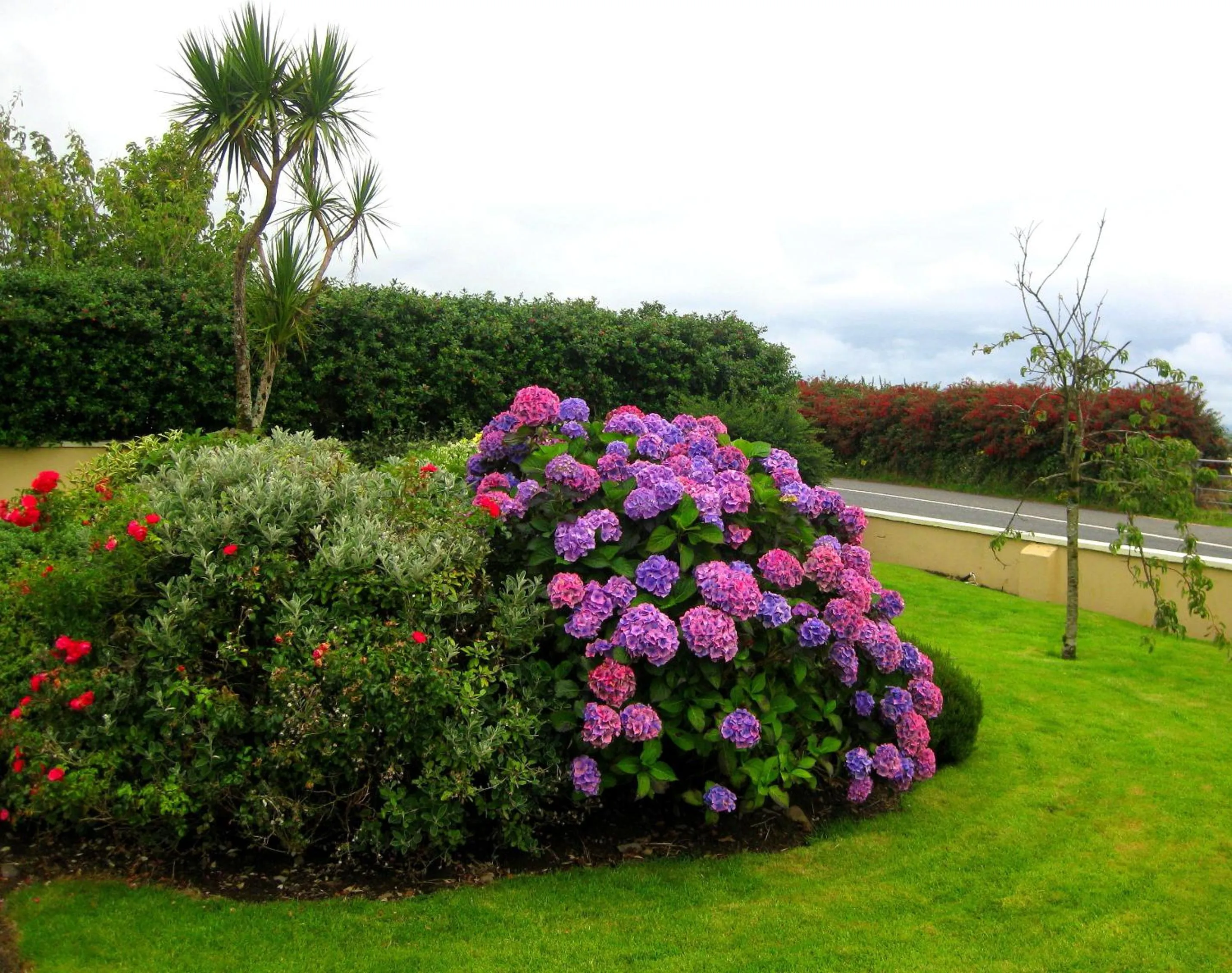 Garden in Cill Bhreac House B&B