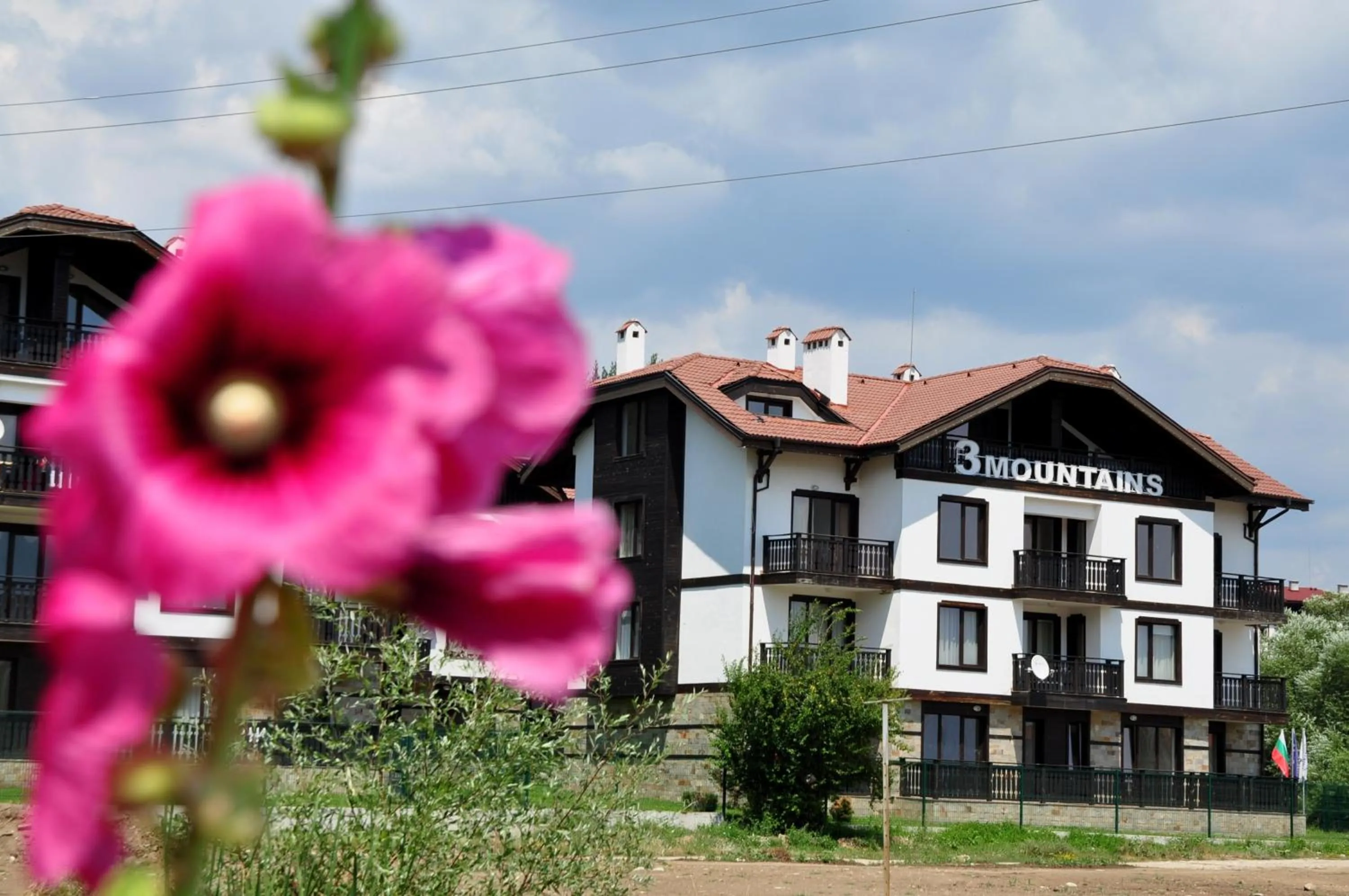 View (from property/room) in 3 Mountains Hotel