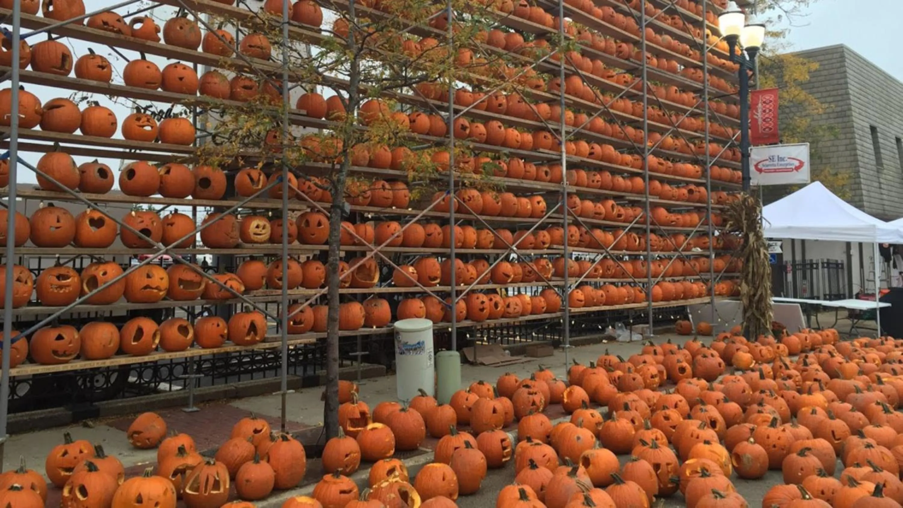 Area and facilities in Holiday Inn Express & Suites Morton Peoria Area by IHG