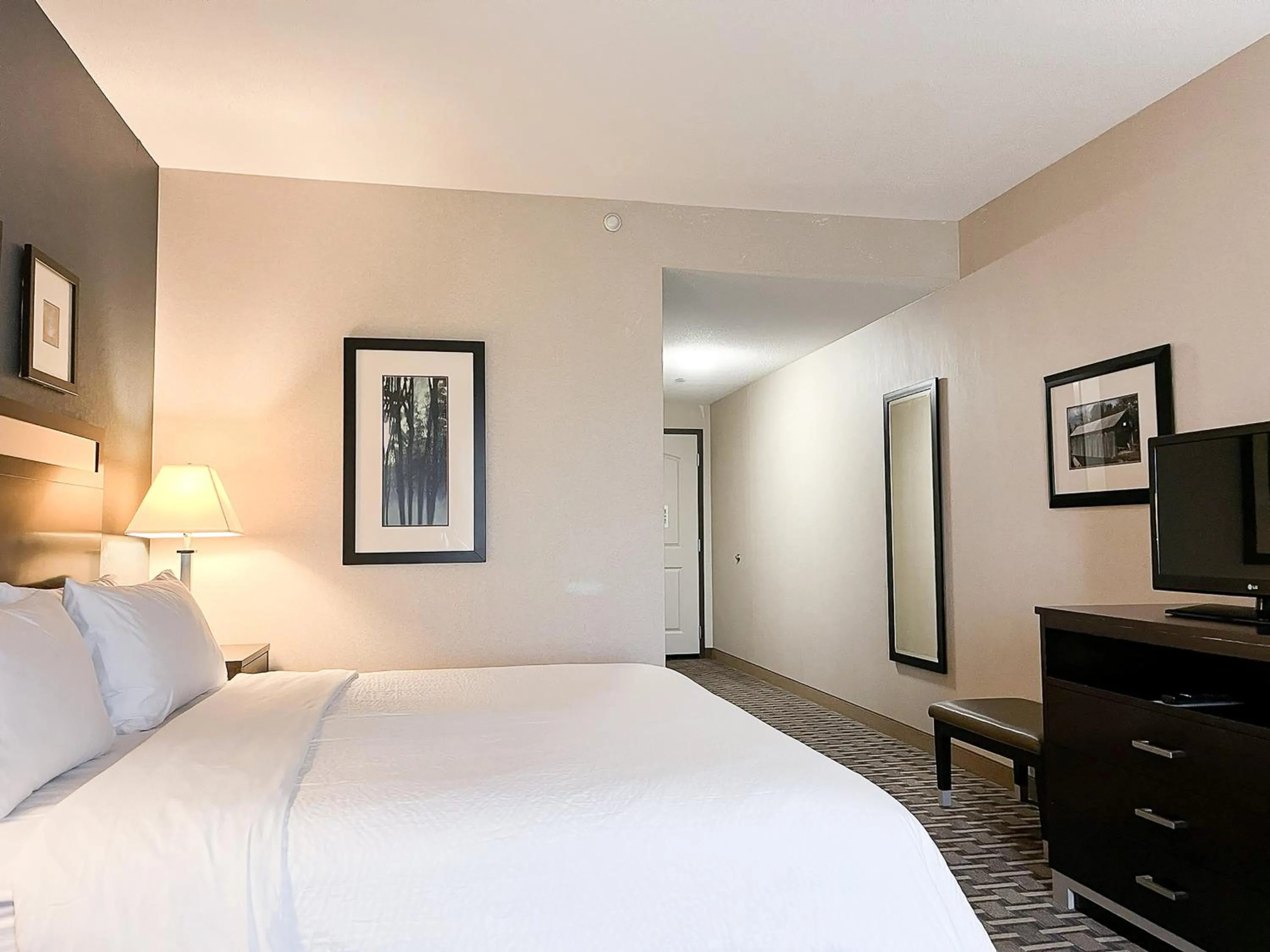 Photo of the whole room, Bed in Holiday Inn Express & Suites Morton Peoria Area by IHG