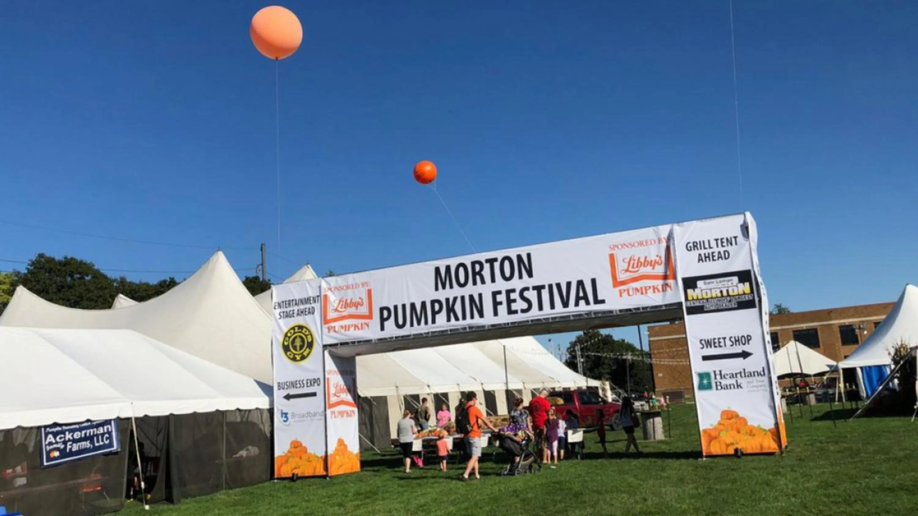 Area and facilities in Holiday Inn Express & Suites Morton Peoria Area by IHG