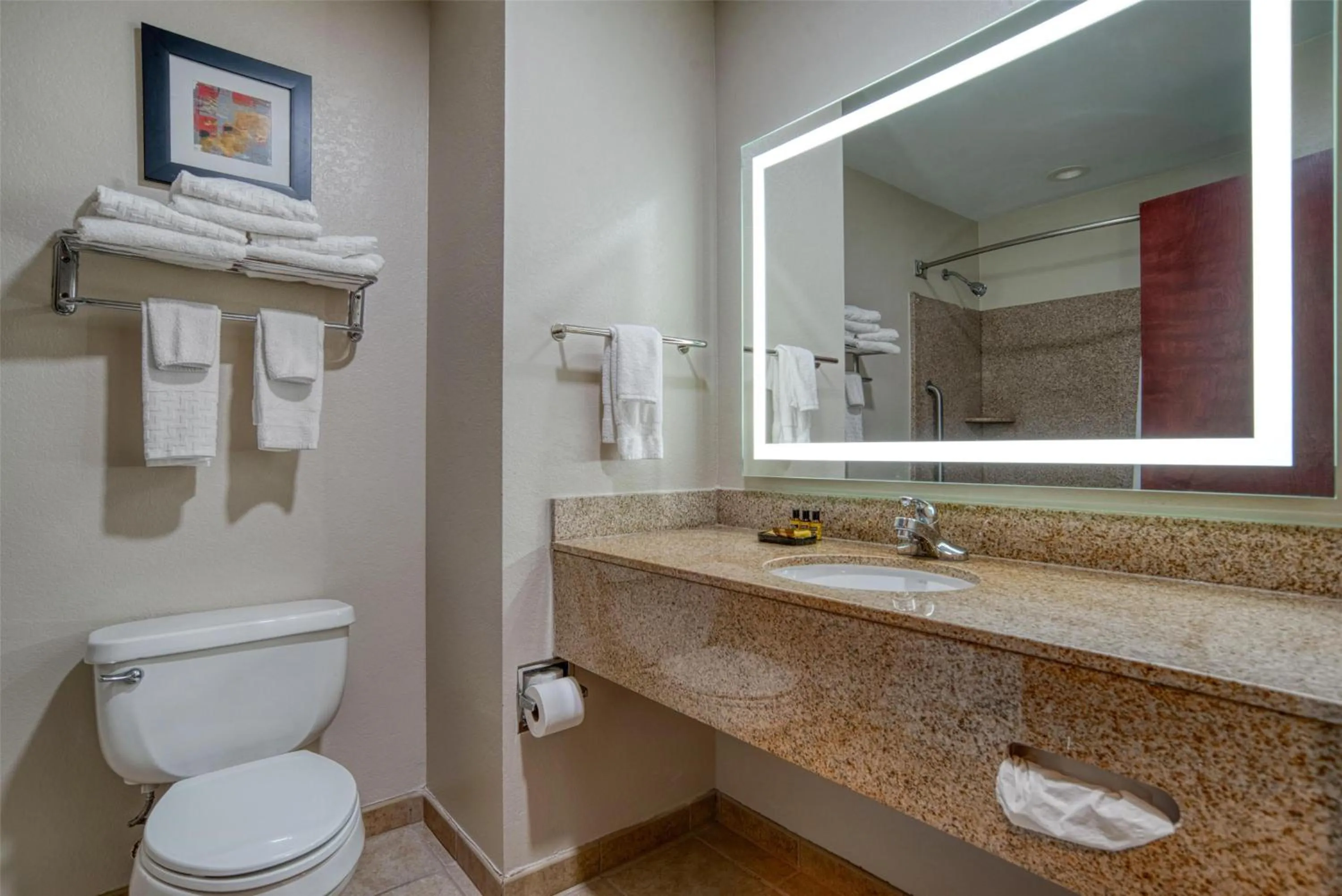 Bathroom in Best Western Plus Philadelphia-Choctaw Hotel and Suites