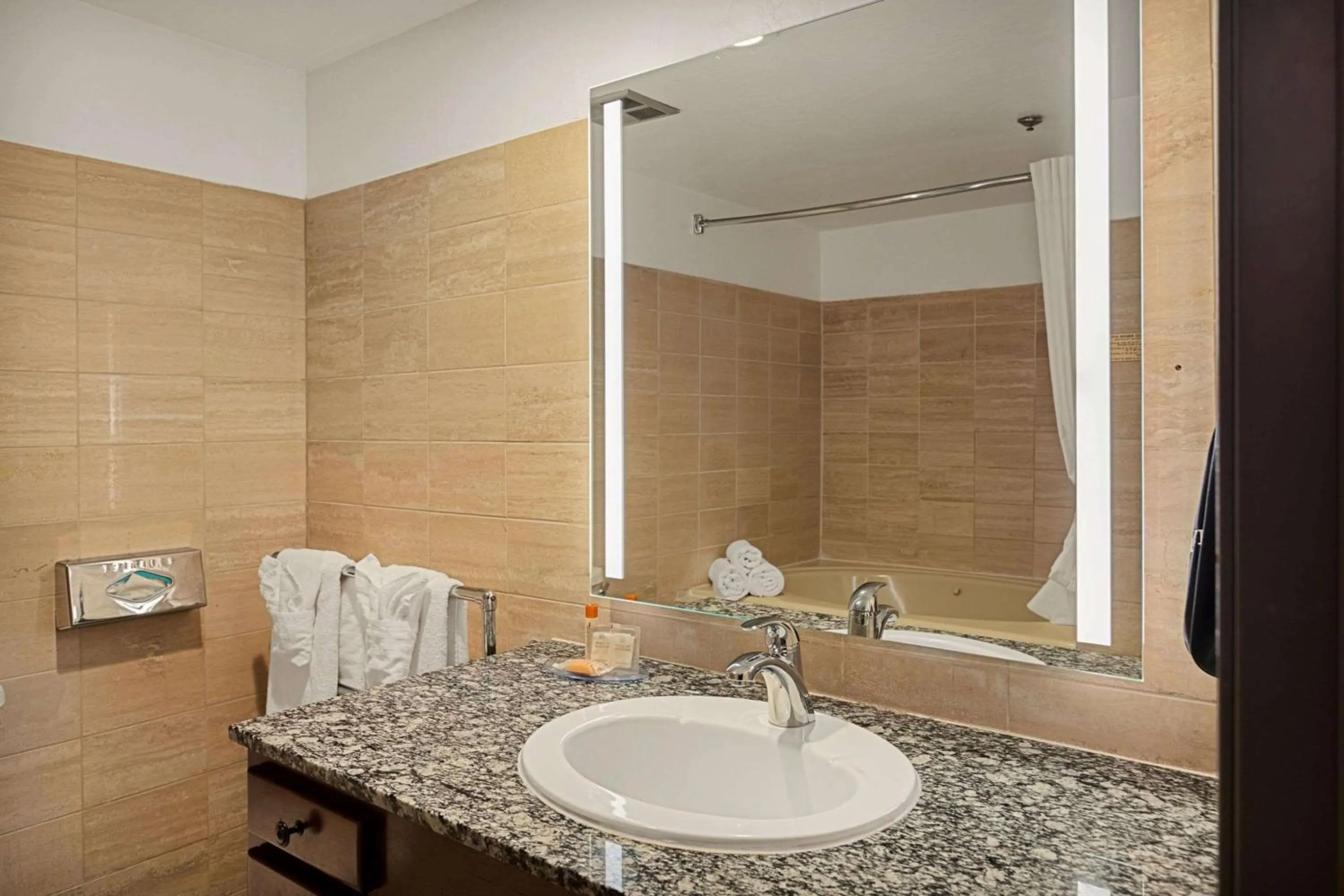 Bathroom in Chateau Big Bear Boutique Hotel, BW Signature Collection