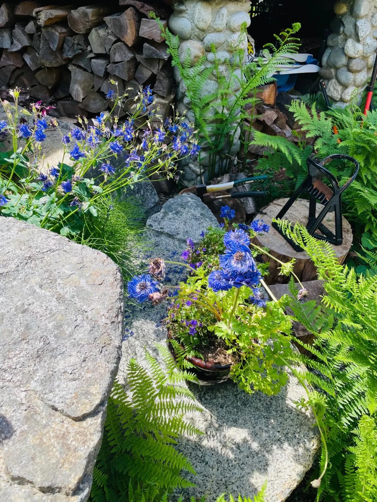 The Tuwanek Hotel and Spa