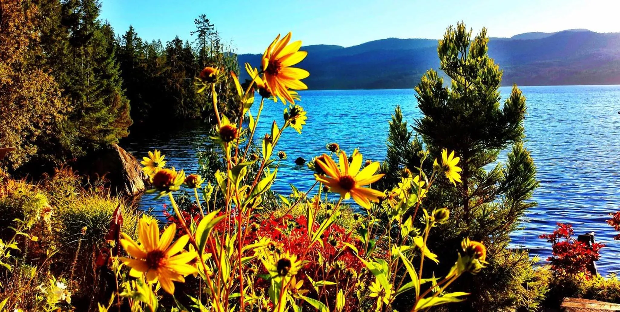 Sea view in The Tuwanek Hotel and Spa