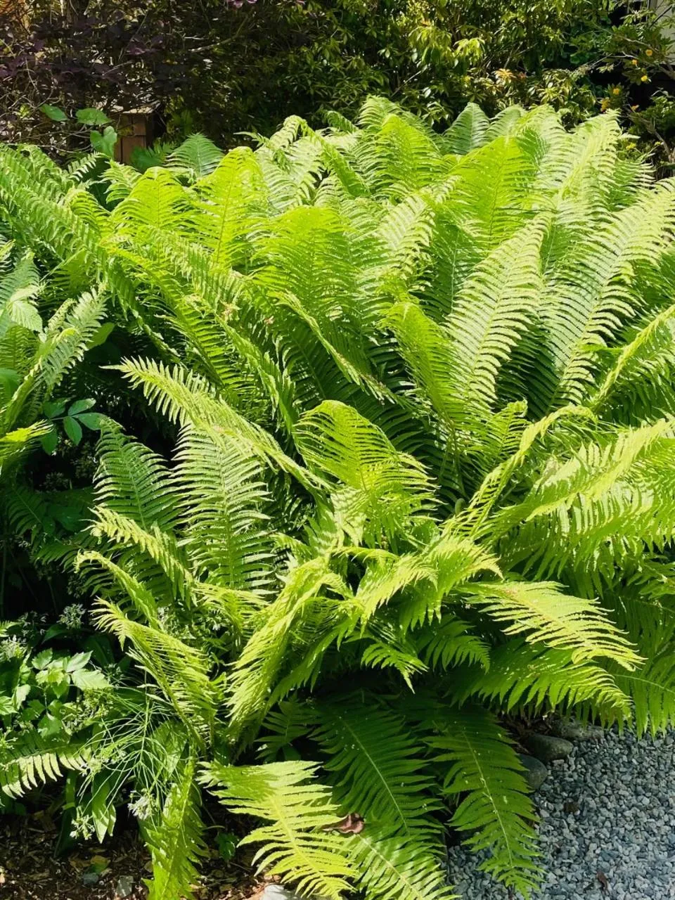 The Tuwanek Hotel and Spa