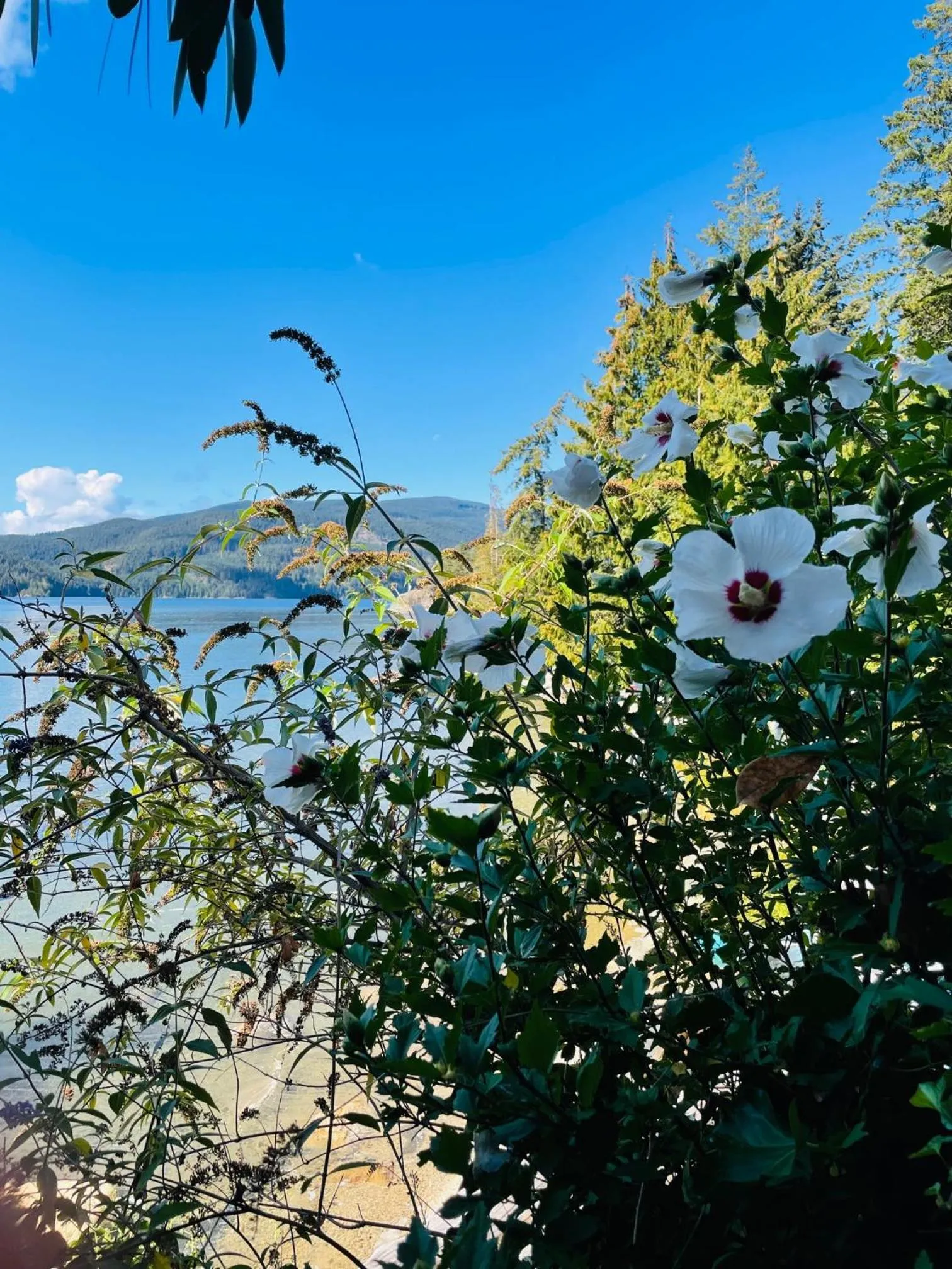 The Tuwanek Hotel and Spa