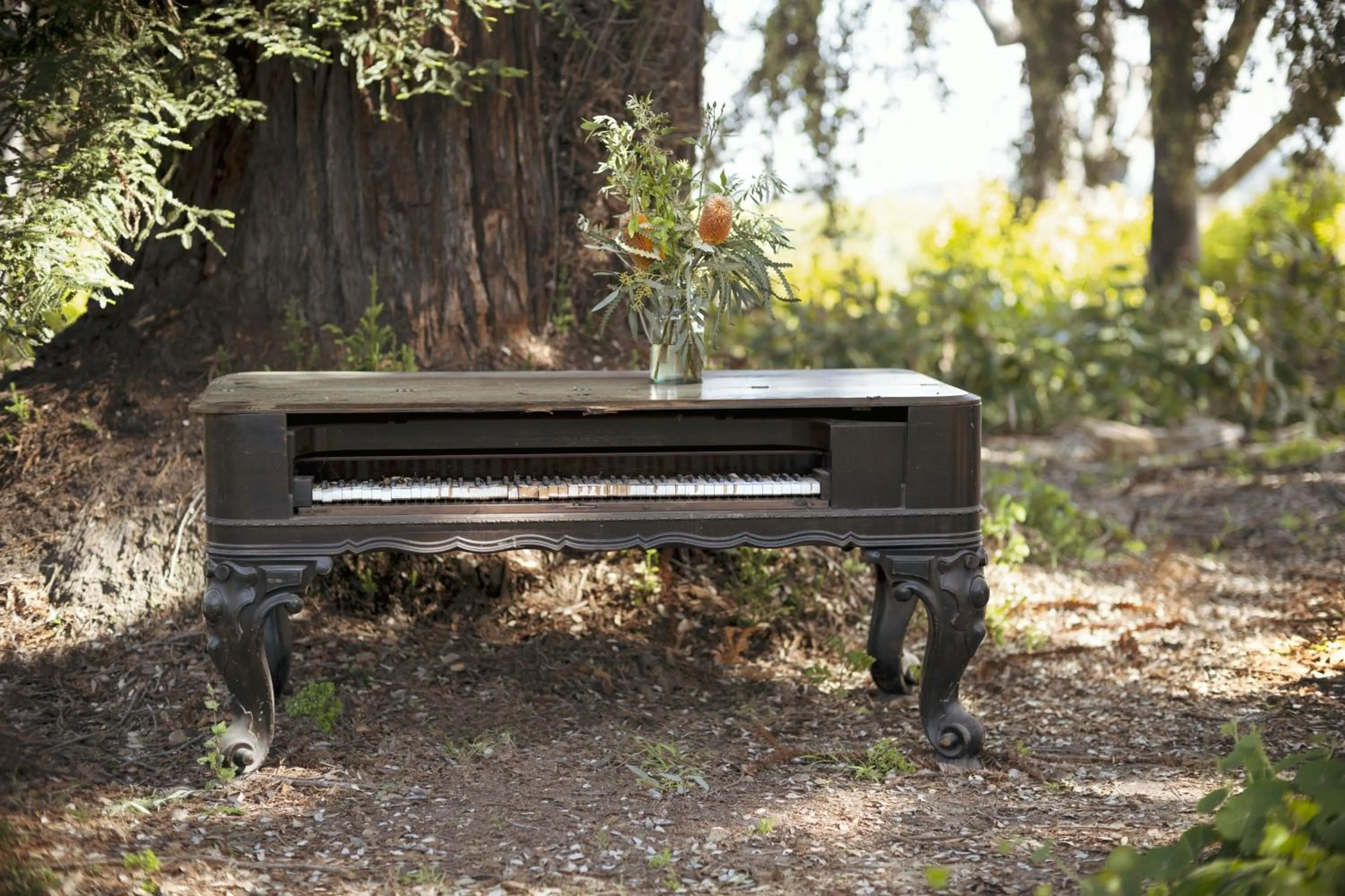 Other in The Steward, Santa Barbara, a Tribute Portfolio Hotel