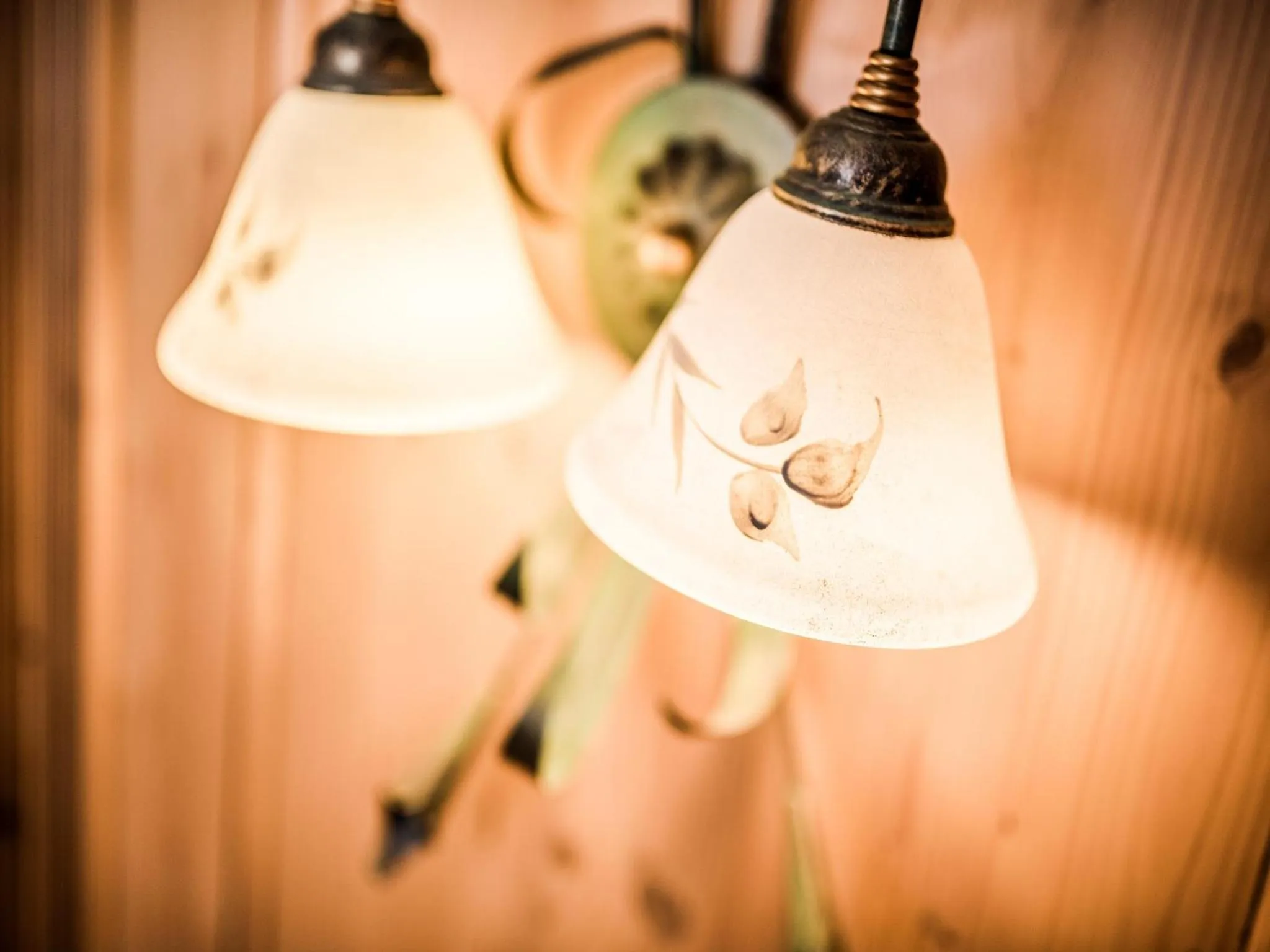 Decorative detail in Hotel Alpenjuwel