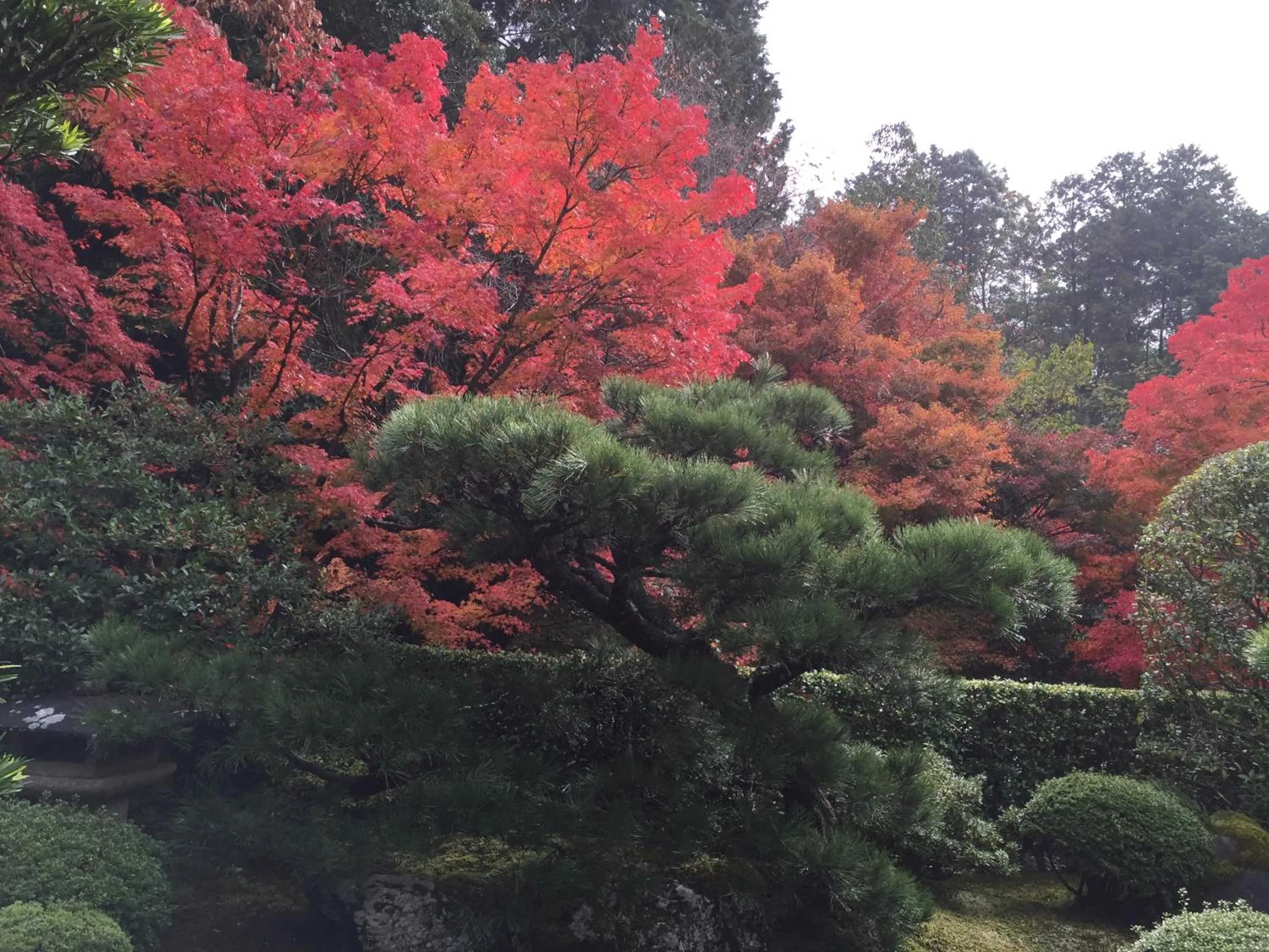 Garden in Ryokan Yamazaki
