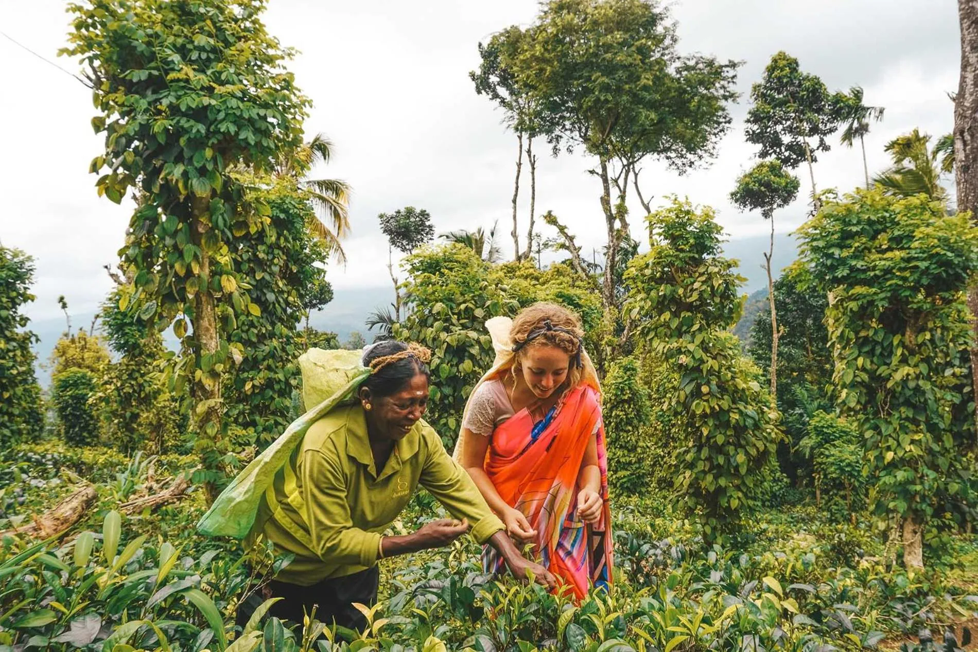 People in Aarunya Nature Resort - Kandy