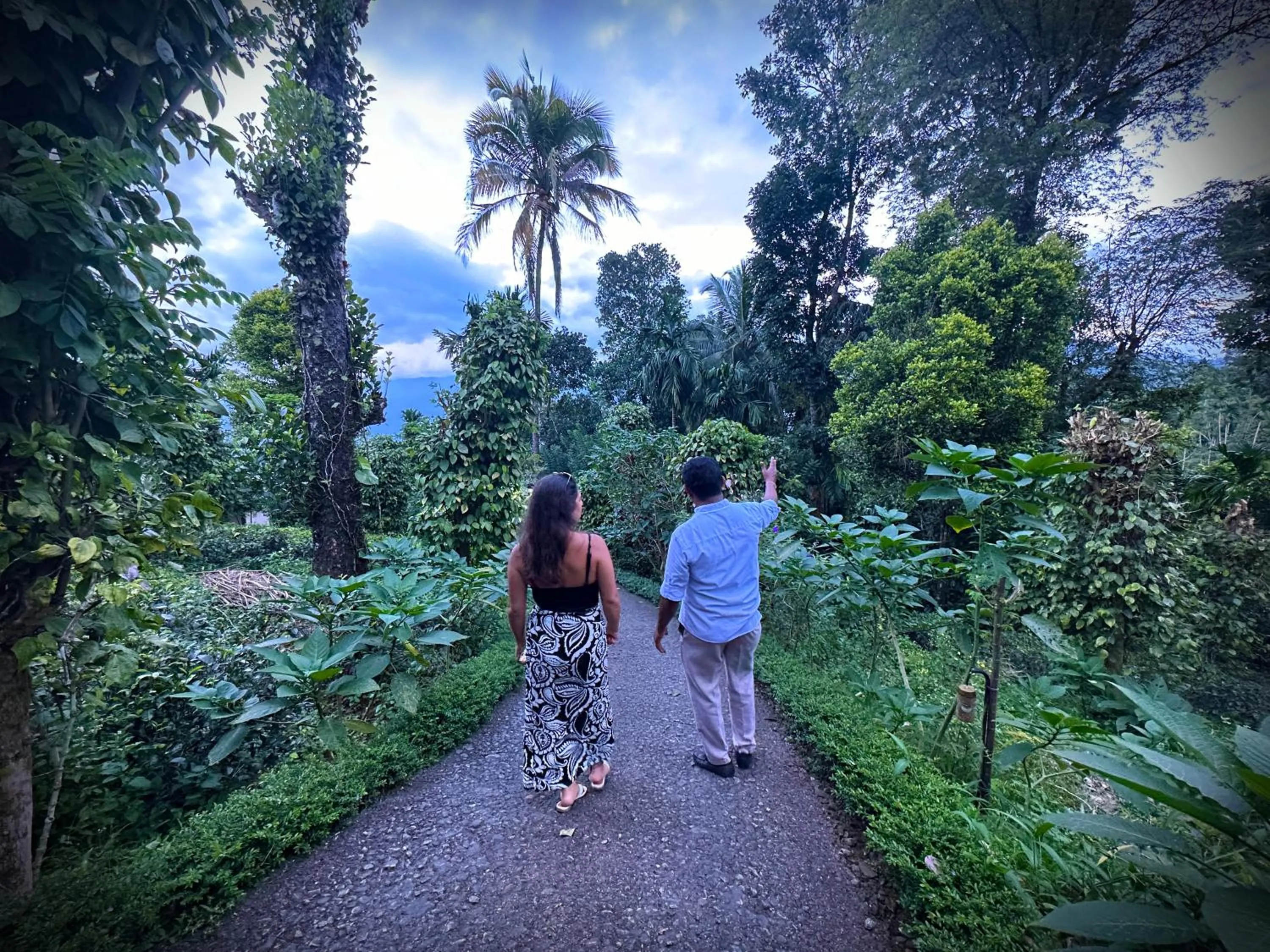 Activities in Aarunya Nature Resort - Kandy