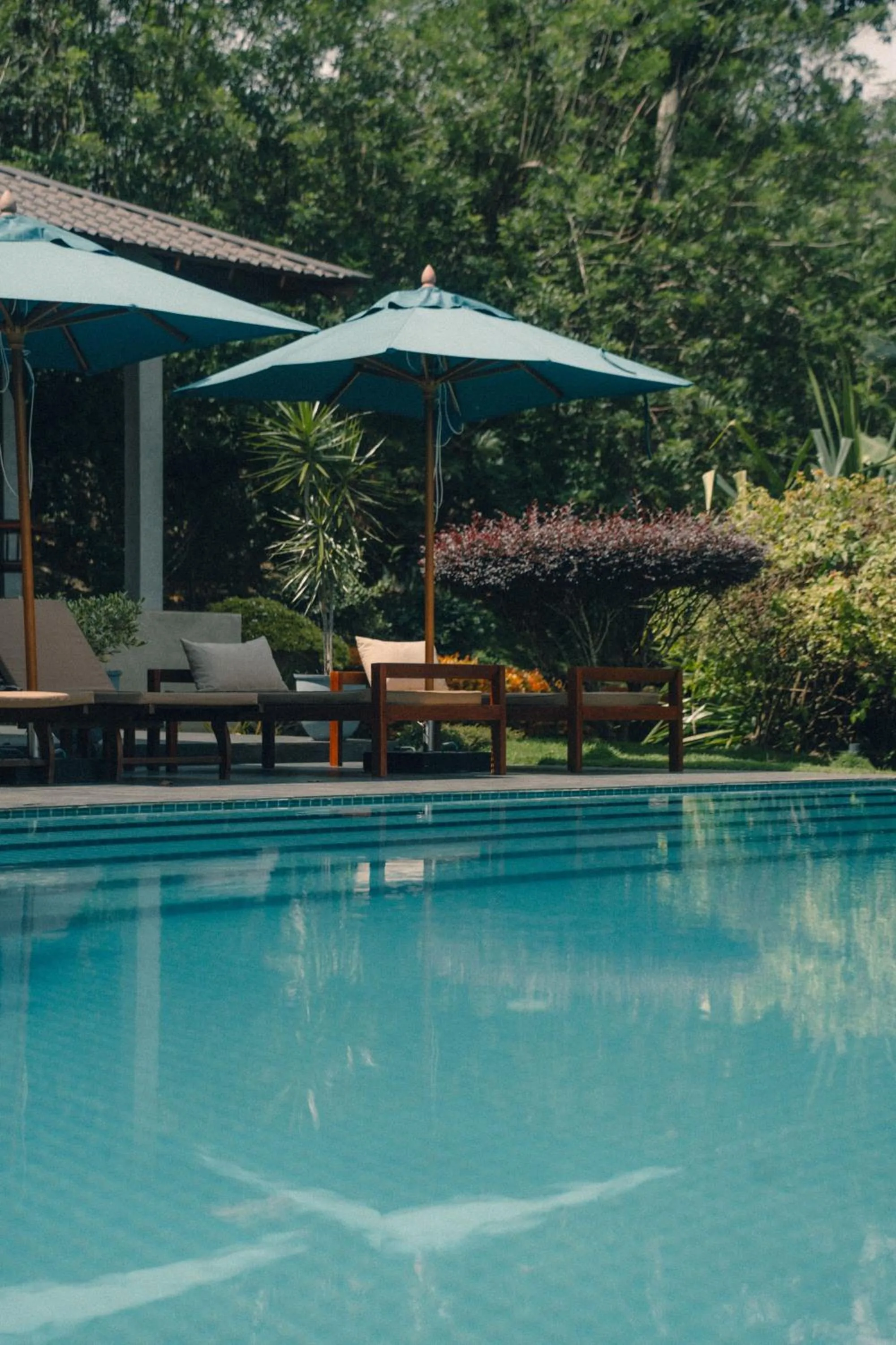 Swimming pool in Aarunya Nature Resort - Kandy